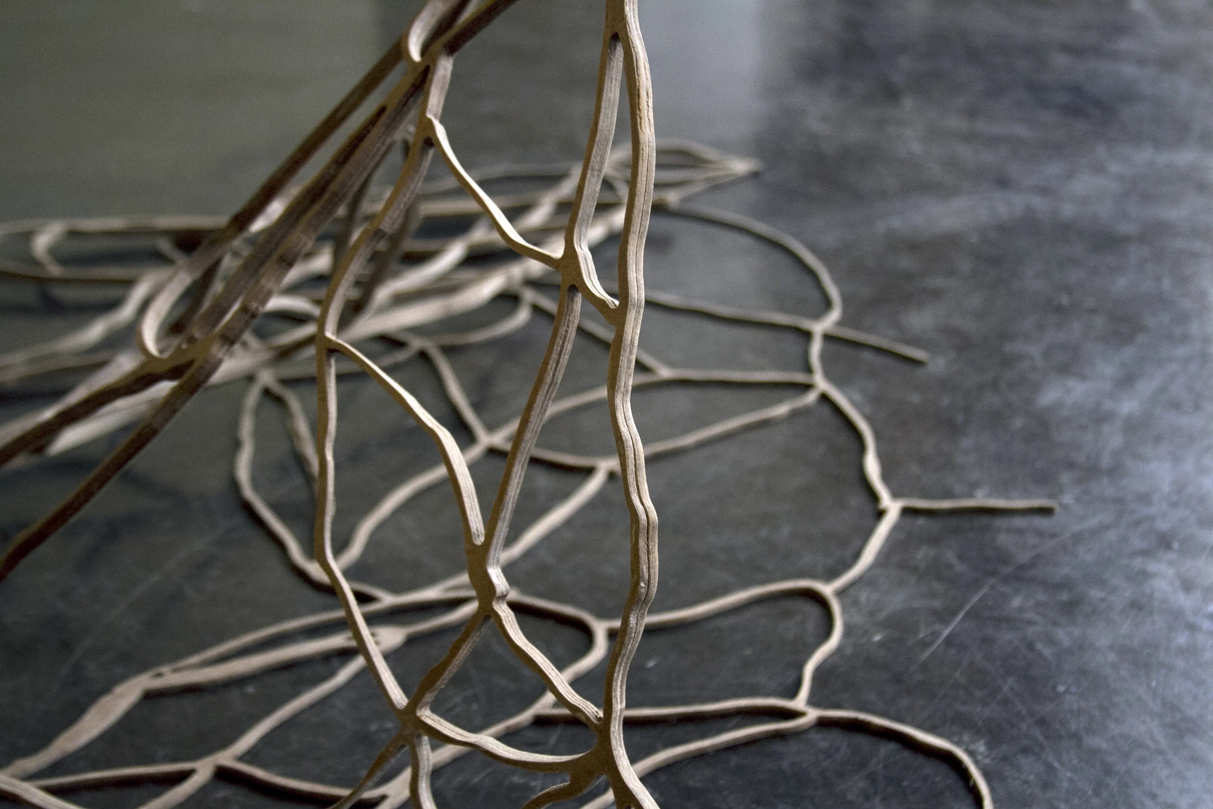 Wood_Net_04.jpg
