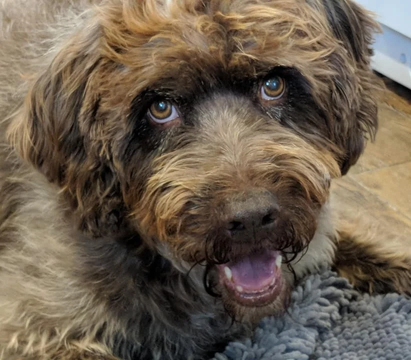 Molly Headshot Smile.jpg