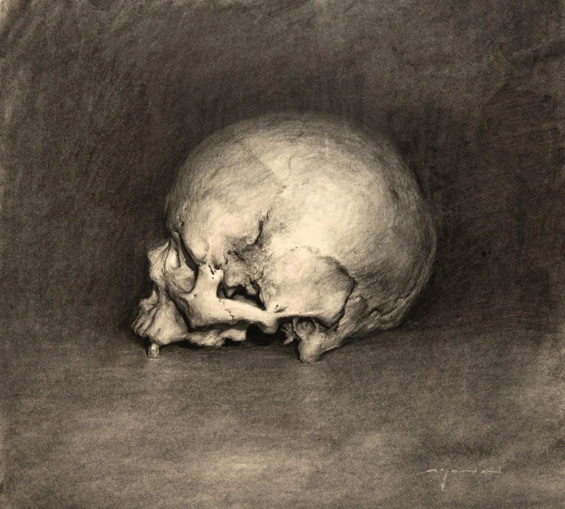 Homo Sapiens - 13 x 11 inches - Charcoal on Paper - 6/2014