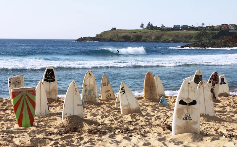 1000 Surfboard Graveyard - Creative Project — CHRIS ANDERSON