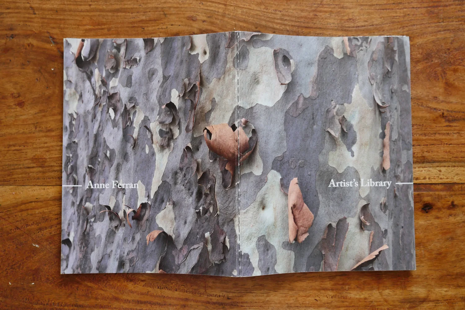 P1090822-anne-ferran-artists-library-chris-anderson-design-bundanon-trust-1500px.jpg