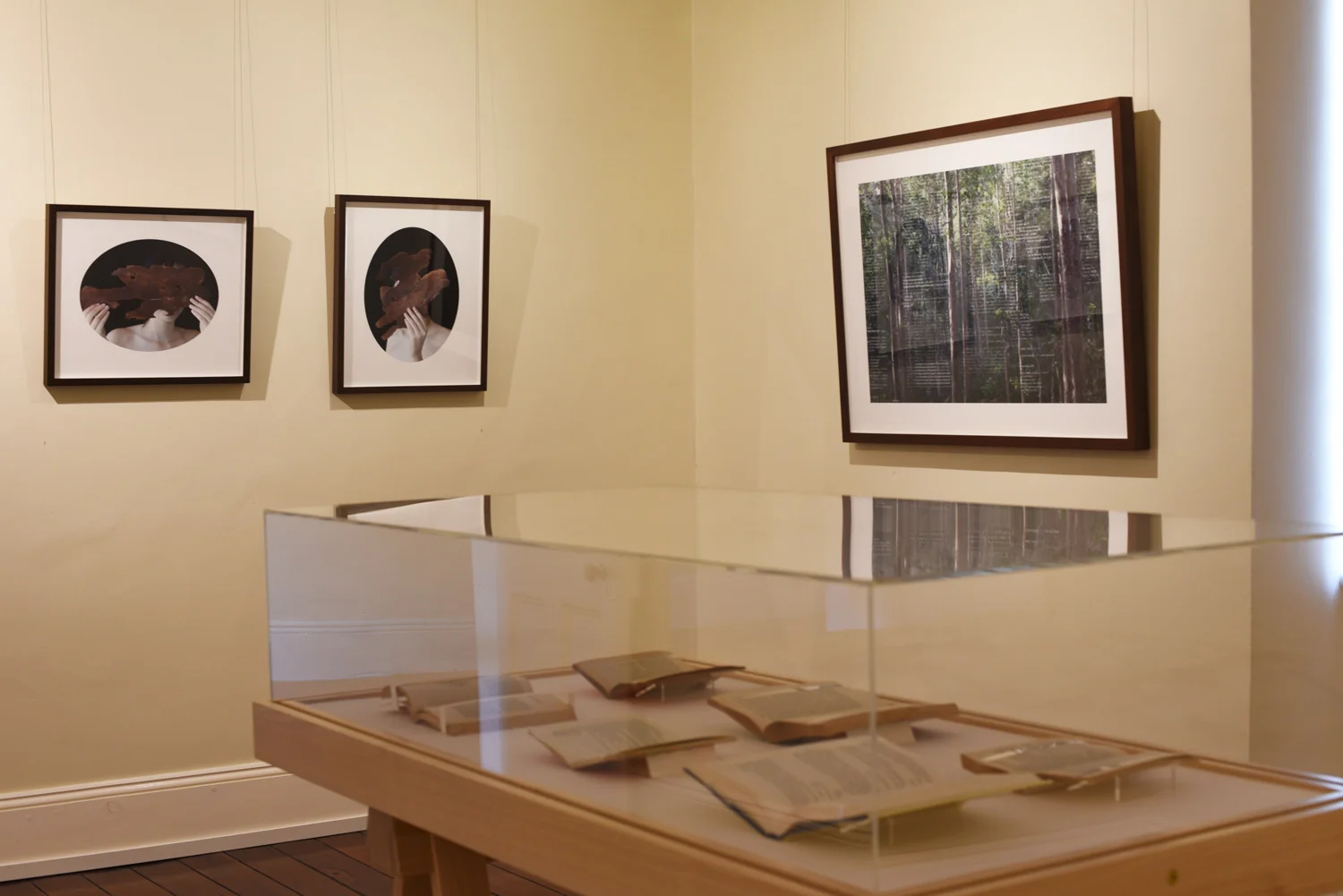 Homestead-50-2-anne-ferran-intimate-journals.jpg