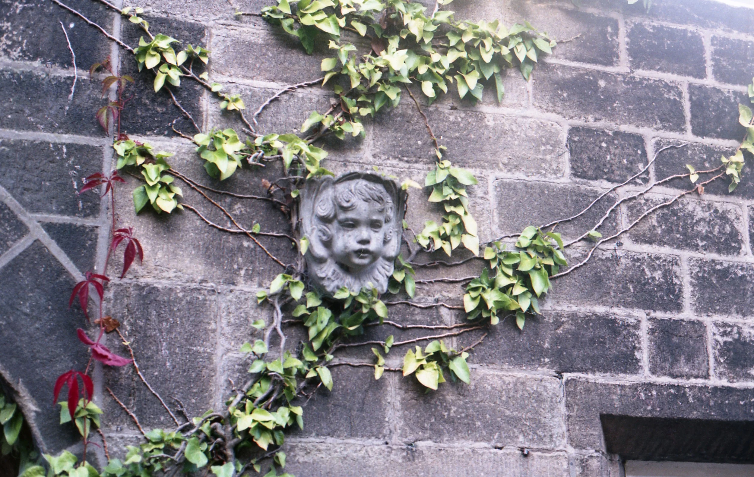 img429.jpg