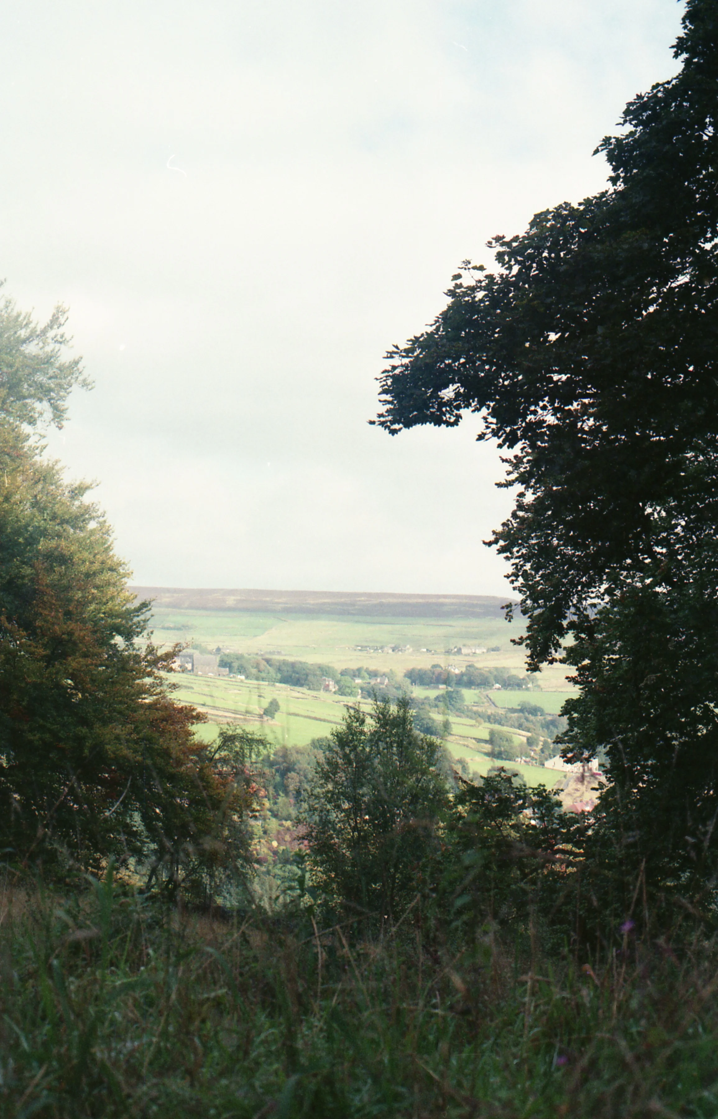 img435.jpg