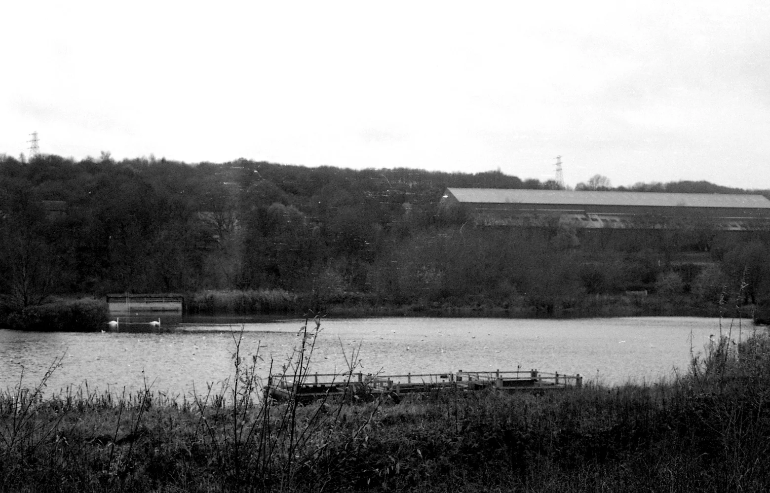 img637.jpg