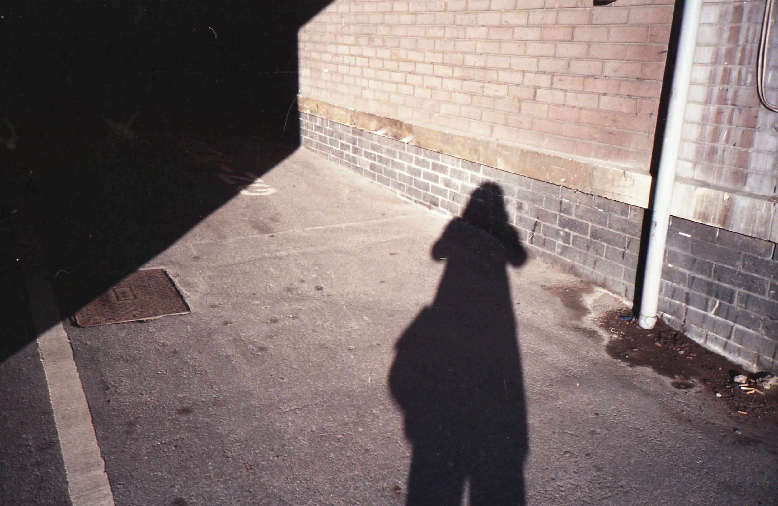 8/366 - It was sunny!! I didn't know what to do with myself hahaha.