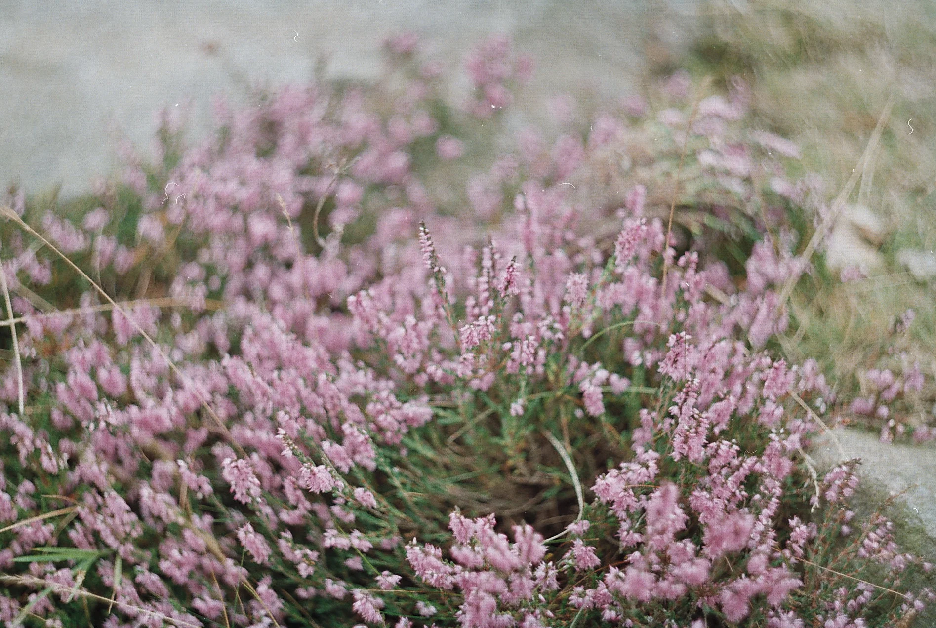 Photo10_7.jpg