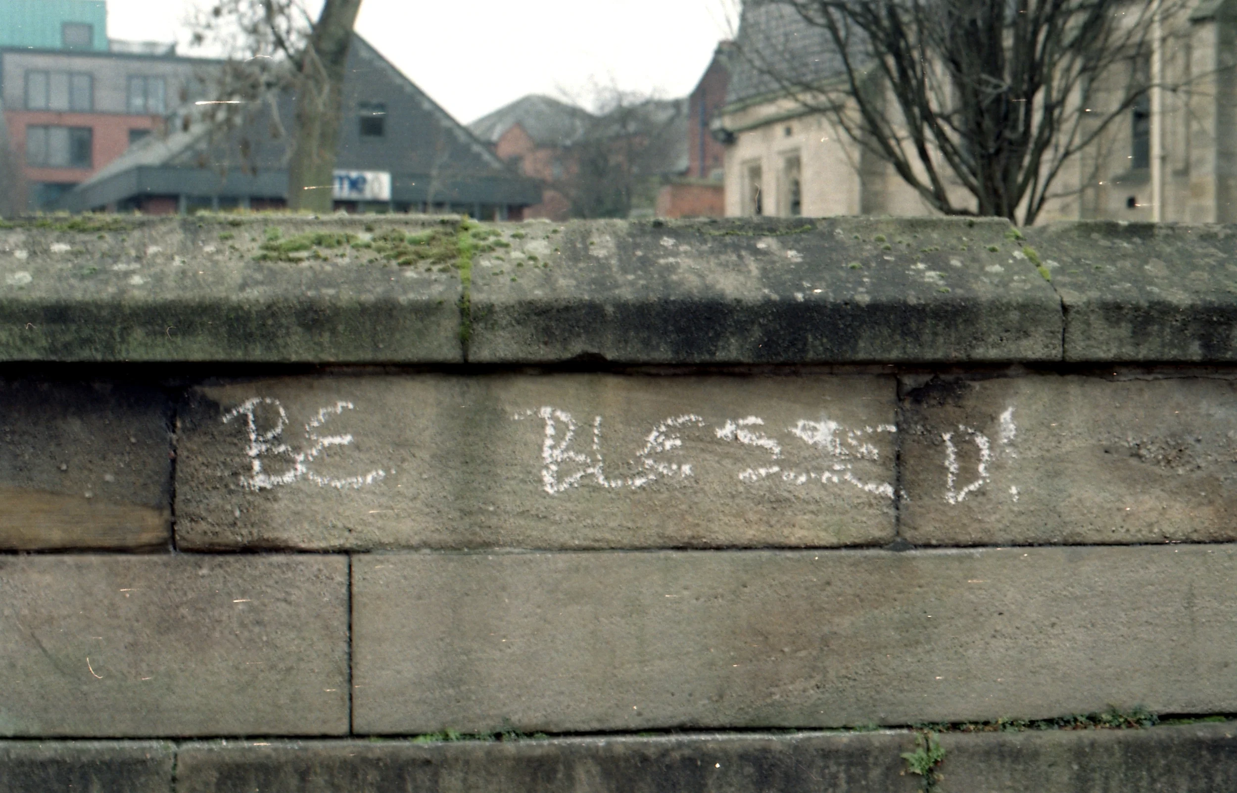 21/366 - I'd actually already taken two photos before this one that day but I walked a new way and saw this and I had to take a photo. When I walked past a couple of days later it was almost washed away. 