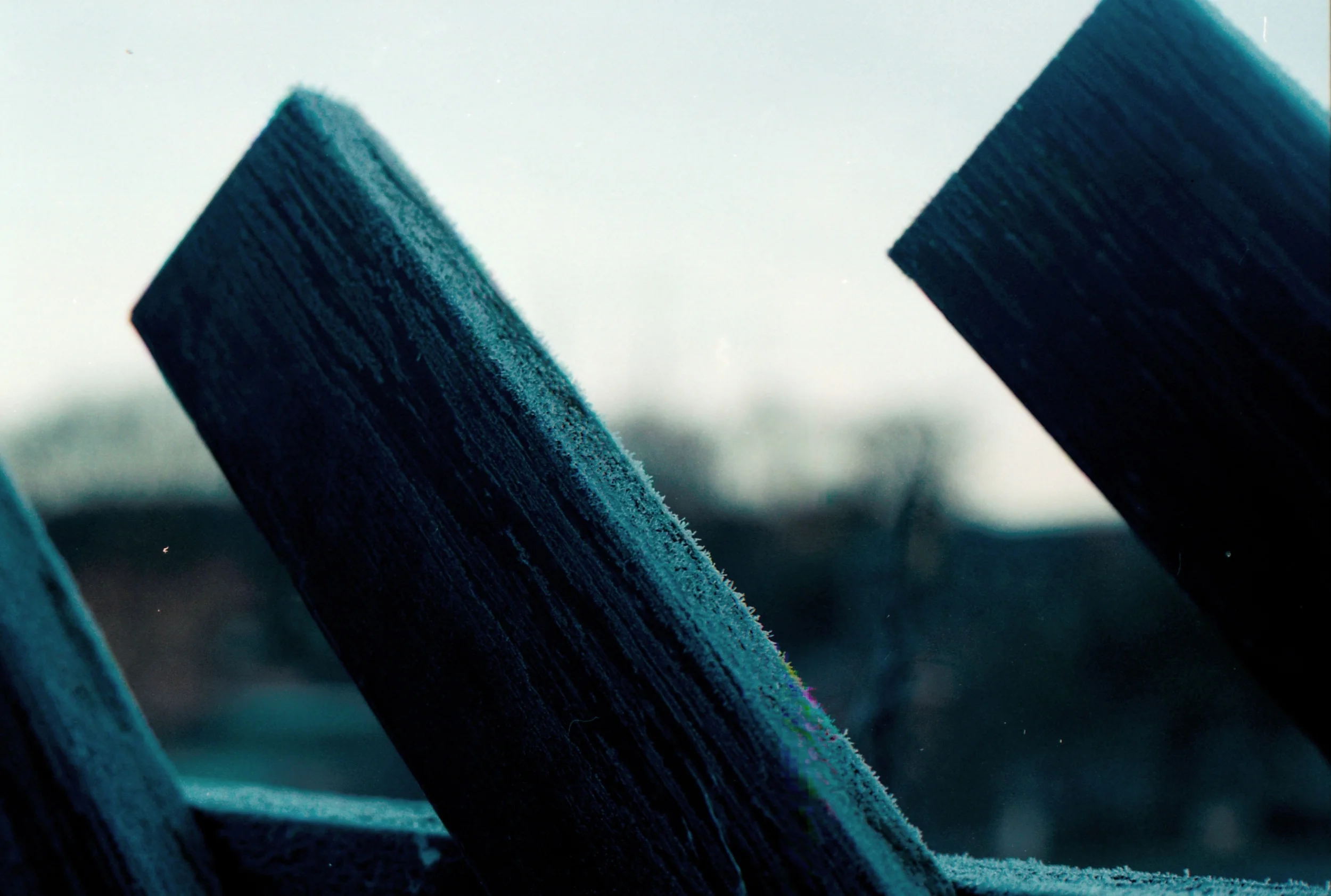 47/366 - Frost in the morning - so pretty!