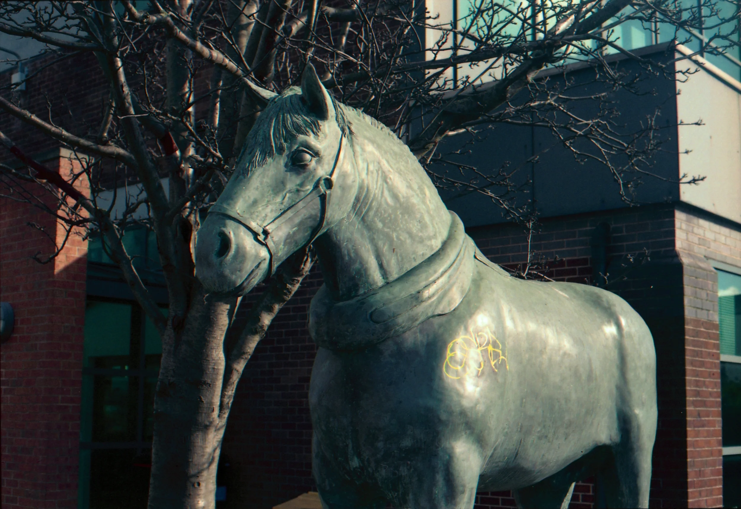 49/366 - A horse statue near the Tetley's building