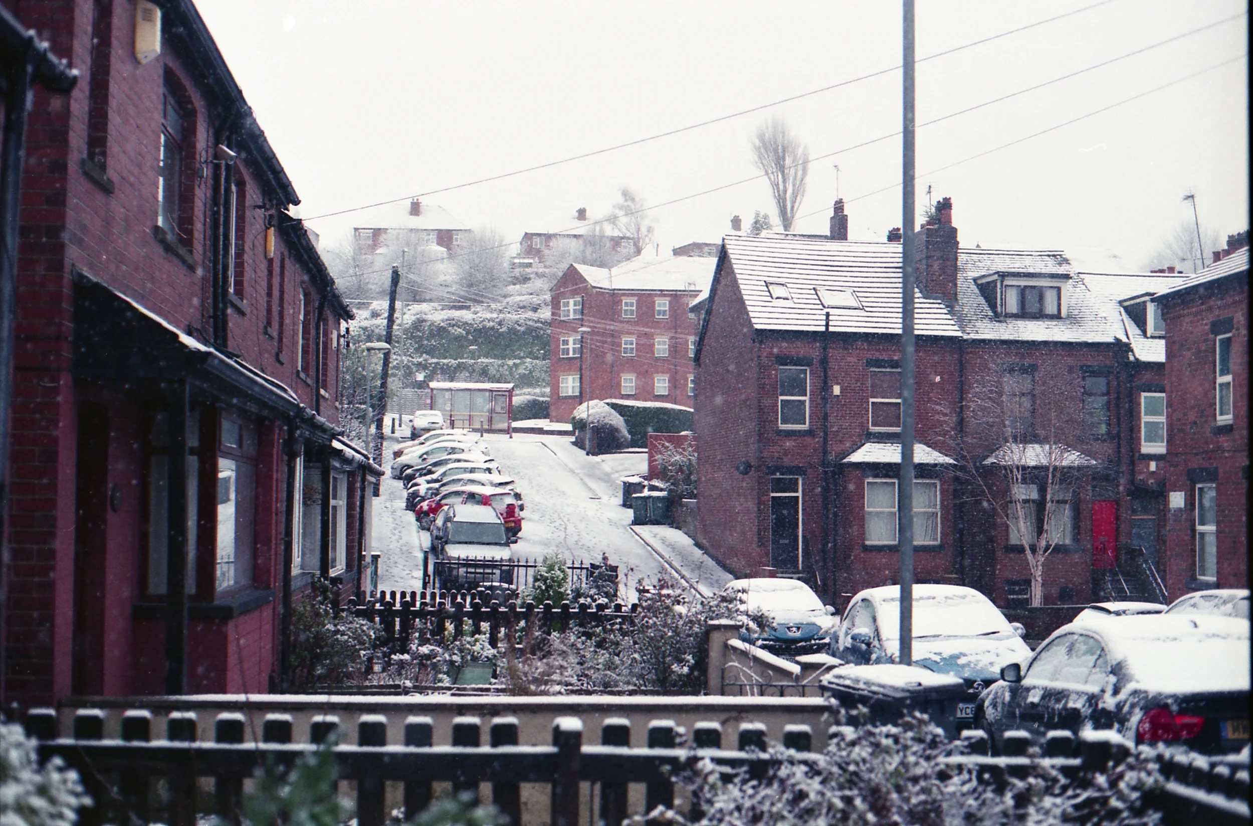 64/366 - Snooowwww! And my photo of the day taken before 7.30am ha.