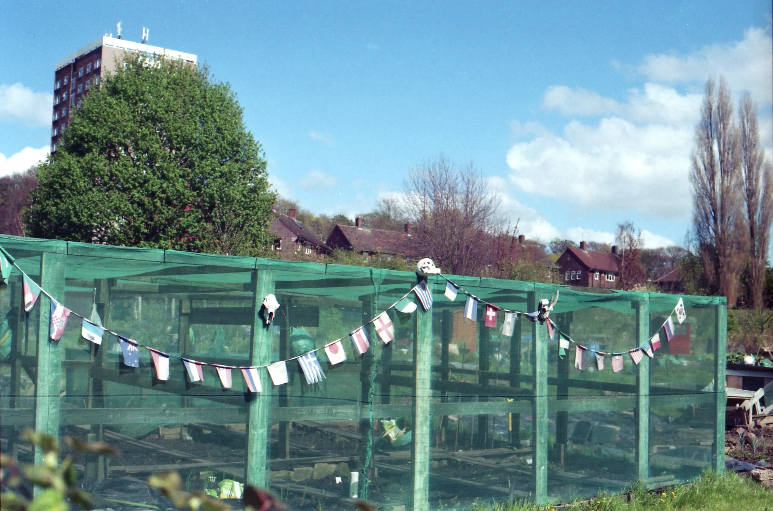 Day 123 - An allotment near the train station.