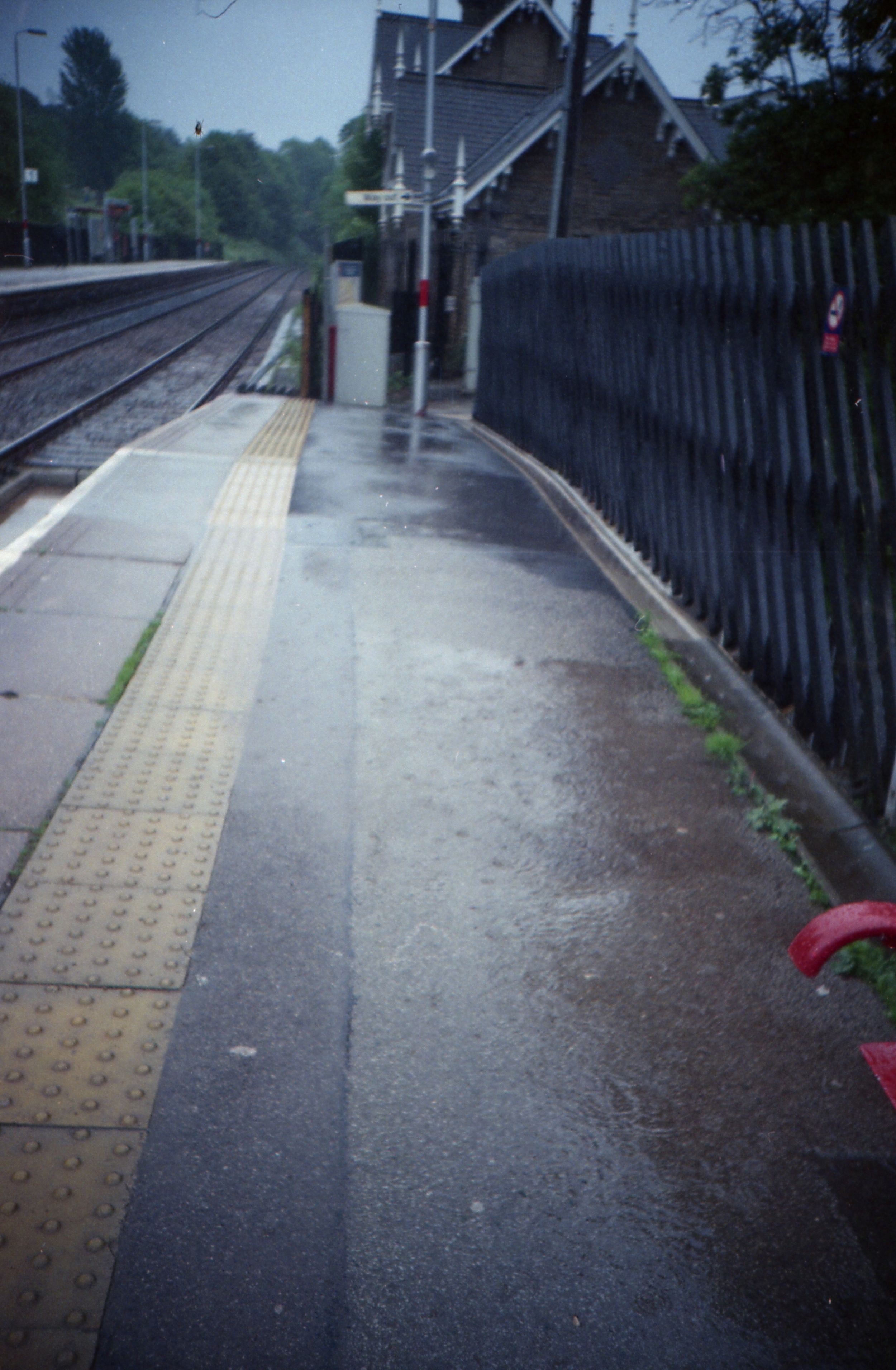 162/366 - It rained. A lot.