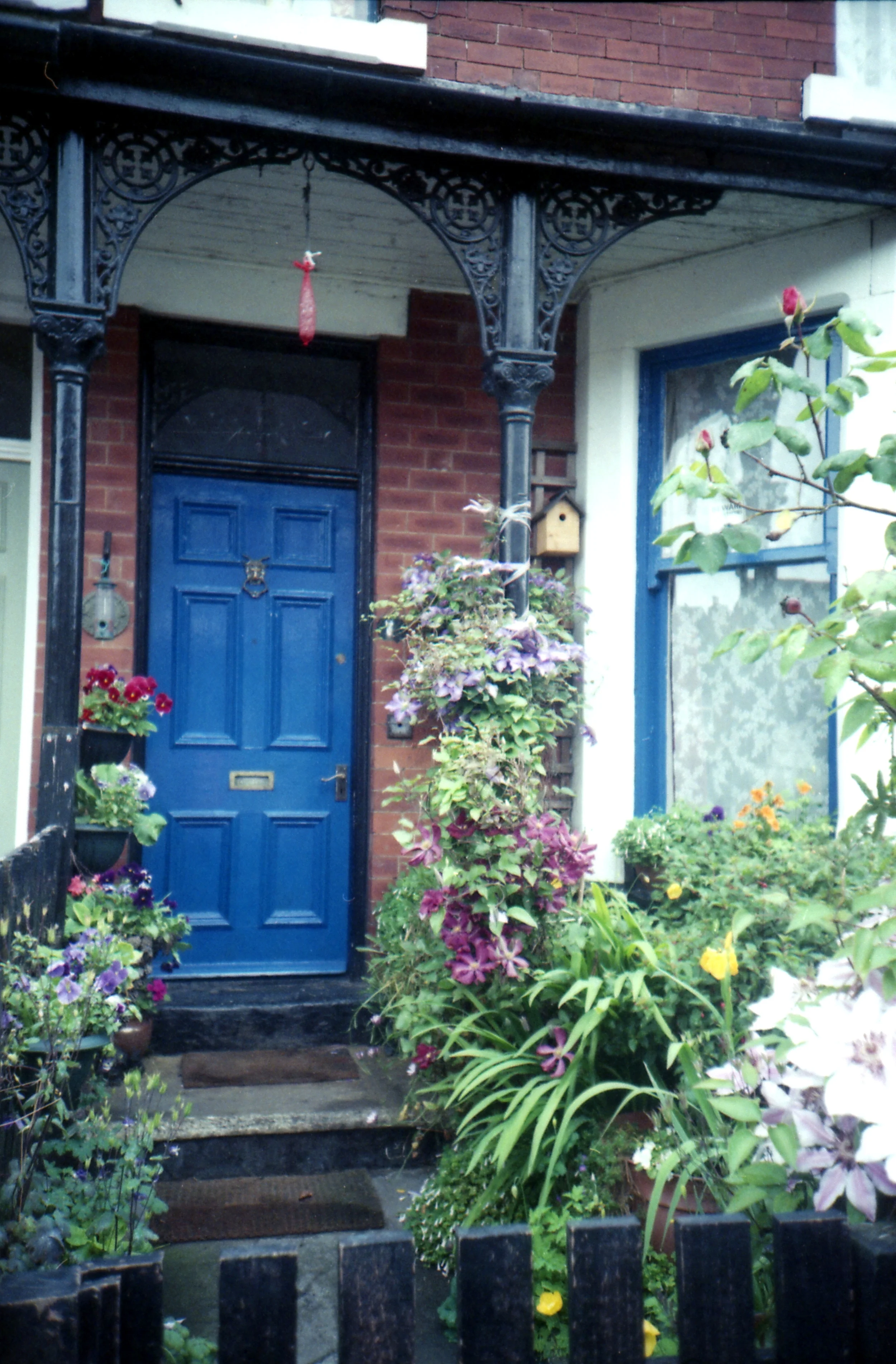 163/366 - When we buy a house I want to paint the front door a lovely colour and have flowers everywhere. House goals!