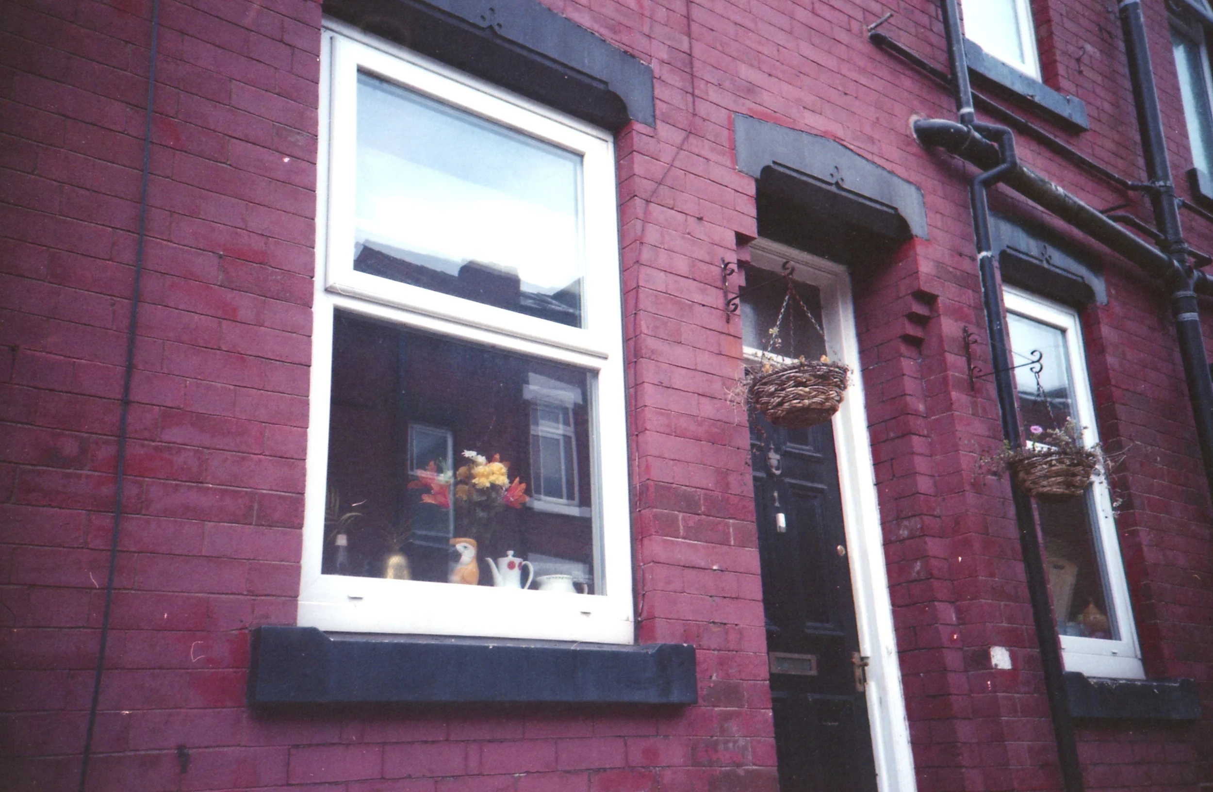 168/366 - Another cool vase in the window