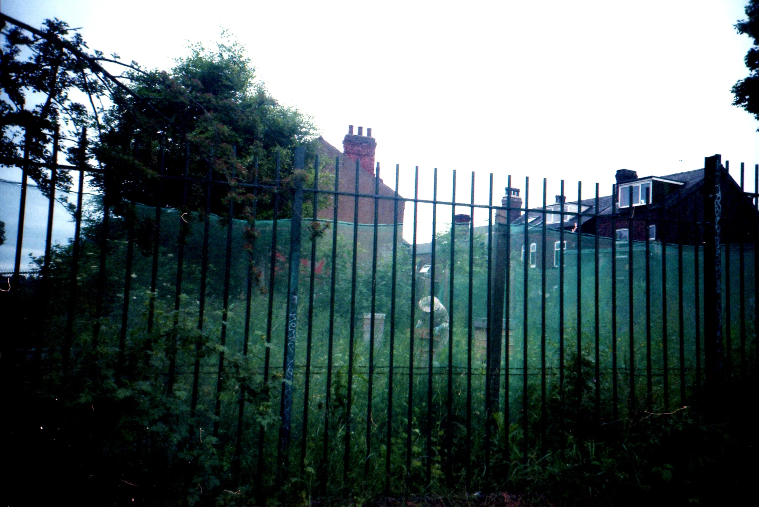 171/366 - Beekeeping on a rainy day and only 5 mins from our house too!