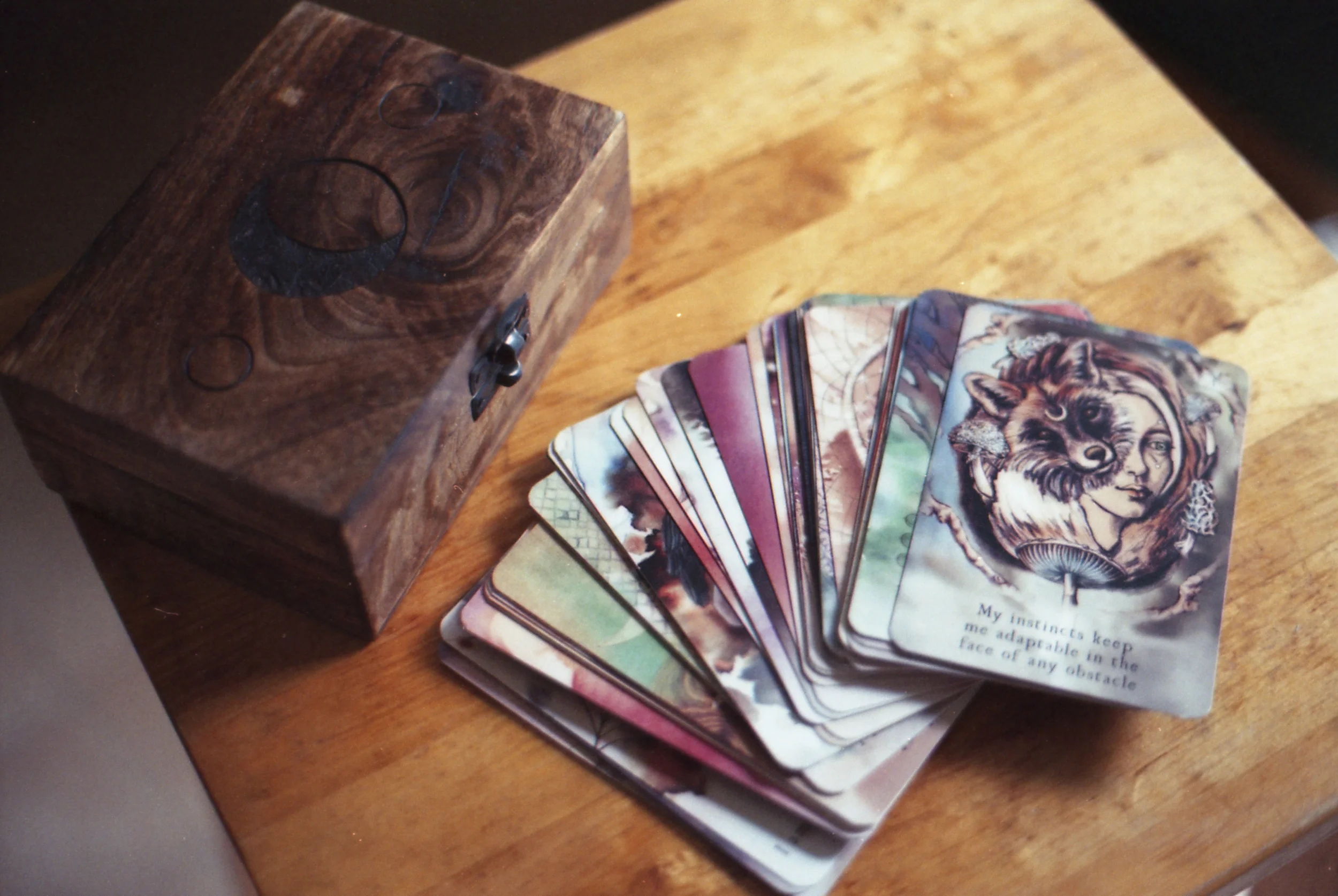 203/366 - After saying I wouldn't buy any more cards, I bought the Moon Deck oracle... Oops. But it is so very lovely.