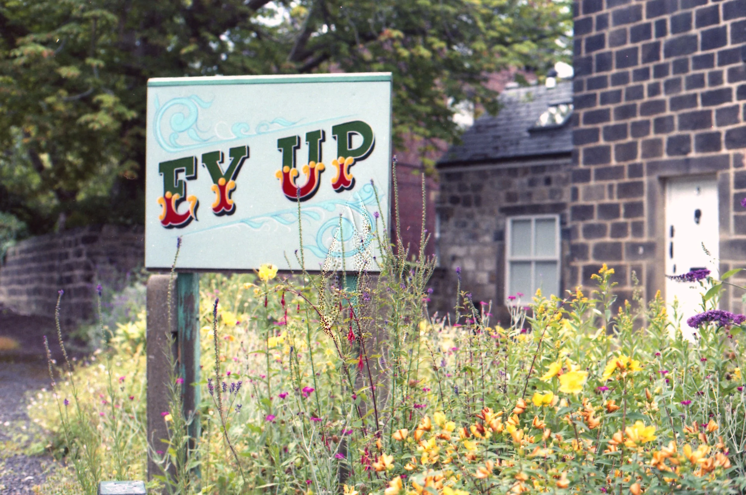 206/366 - Not sure which bit I love more ALL the yellow flowers (my fave) or the Hey Up sign. Overall its a keeper :)