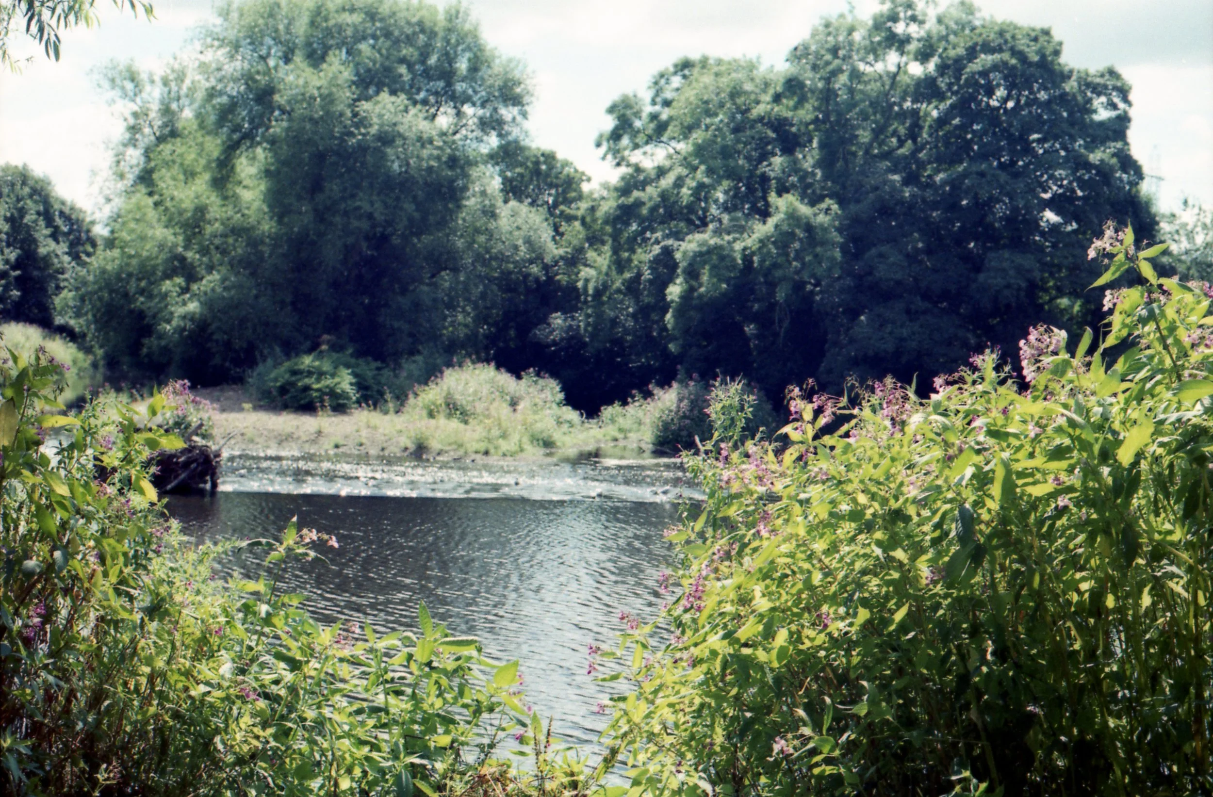 212/366 - I meant to take a photo of the delicious jerk chicken that we bought at the Kirkstall Abbey deli fair and then ate sitting on a bench and admiring the view you can see here. But I ate it instead. So I figured the view was the next best thing haha. It was really good chicken.