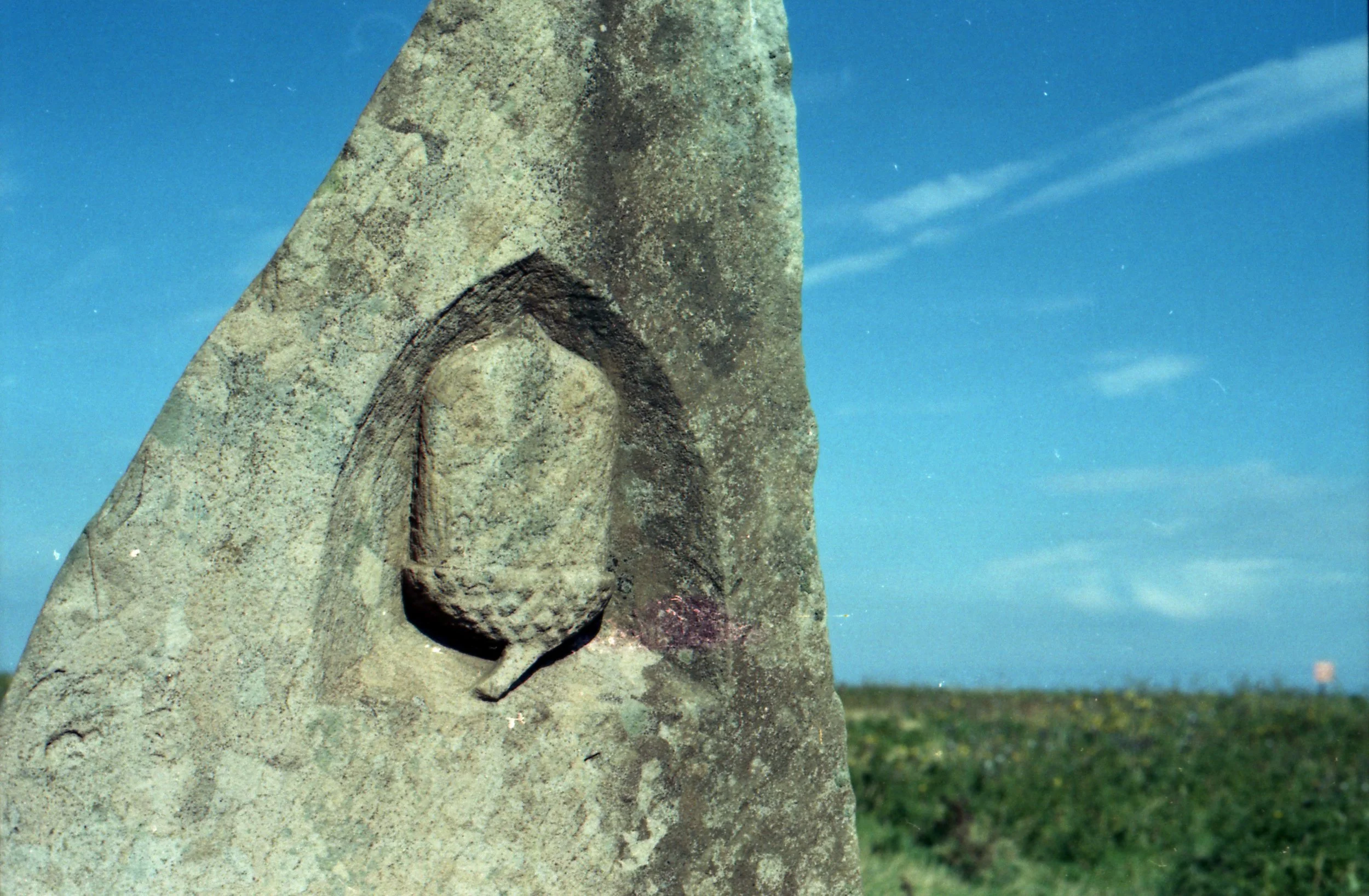 img781.jpg