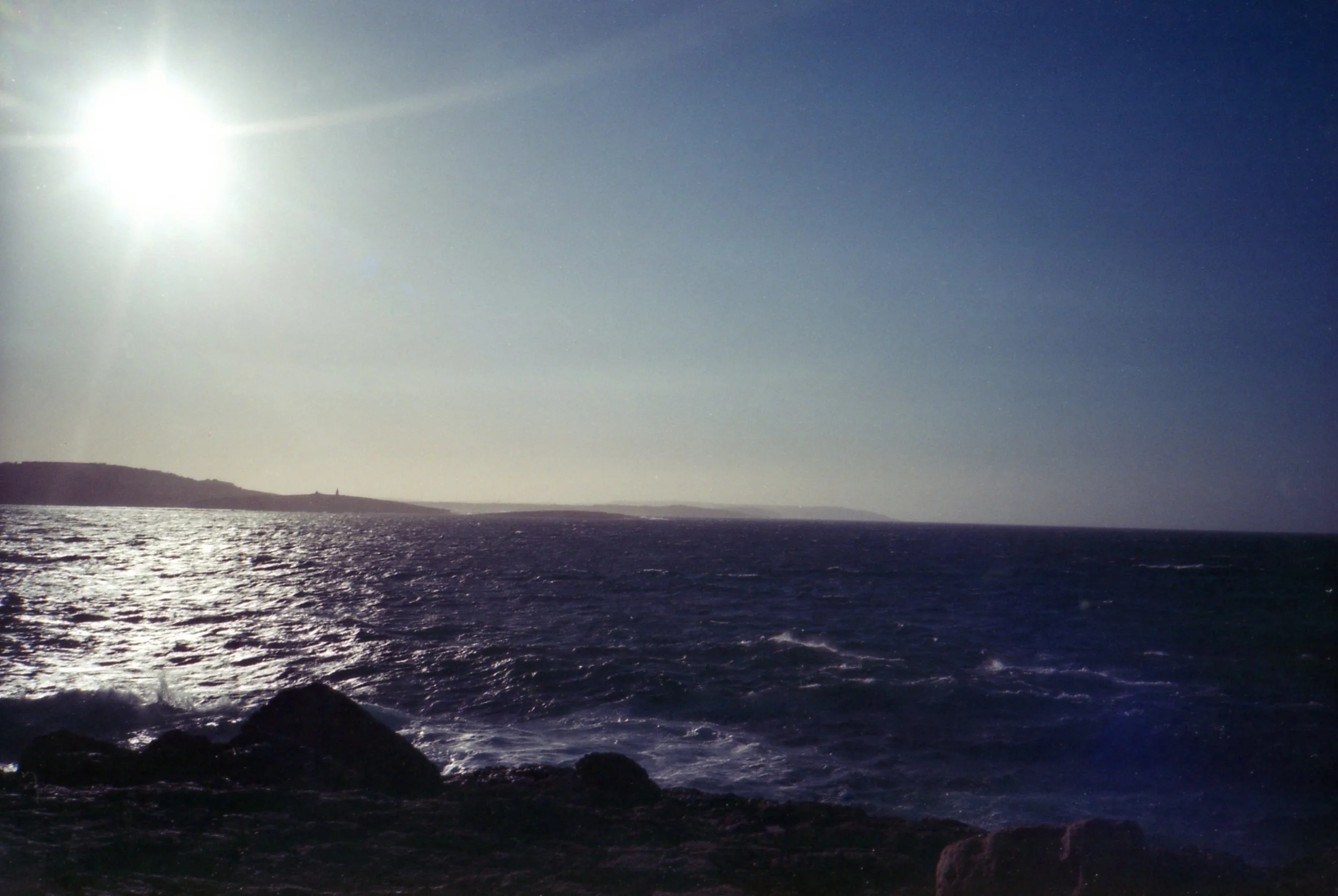 img391.jpg