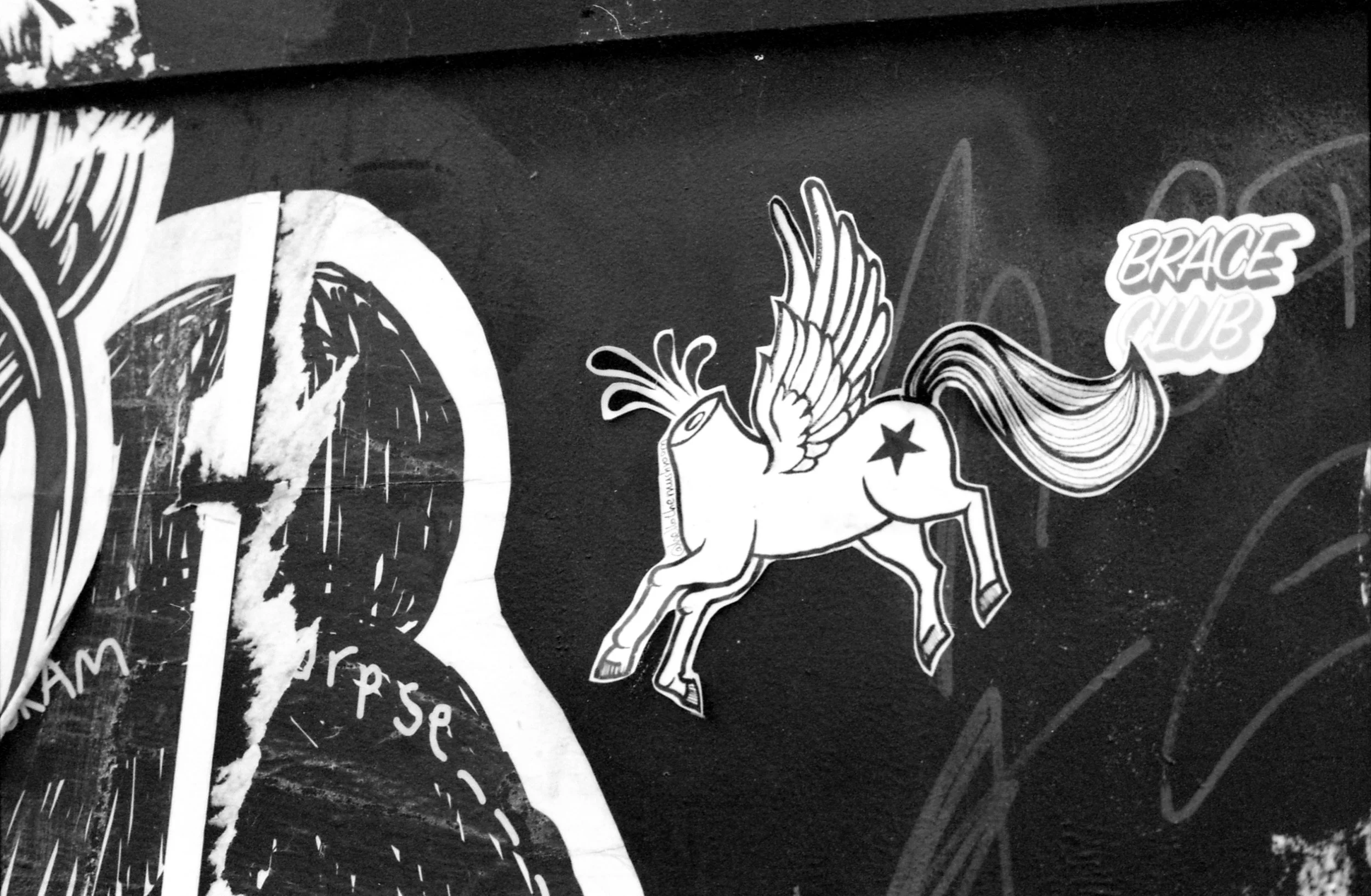 311/366 - The street art near where I work always captures my eye!