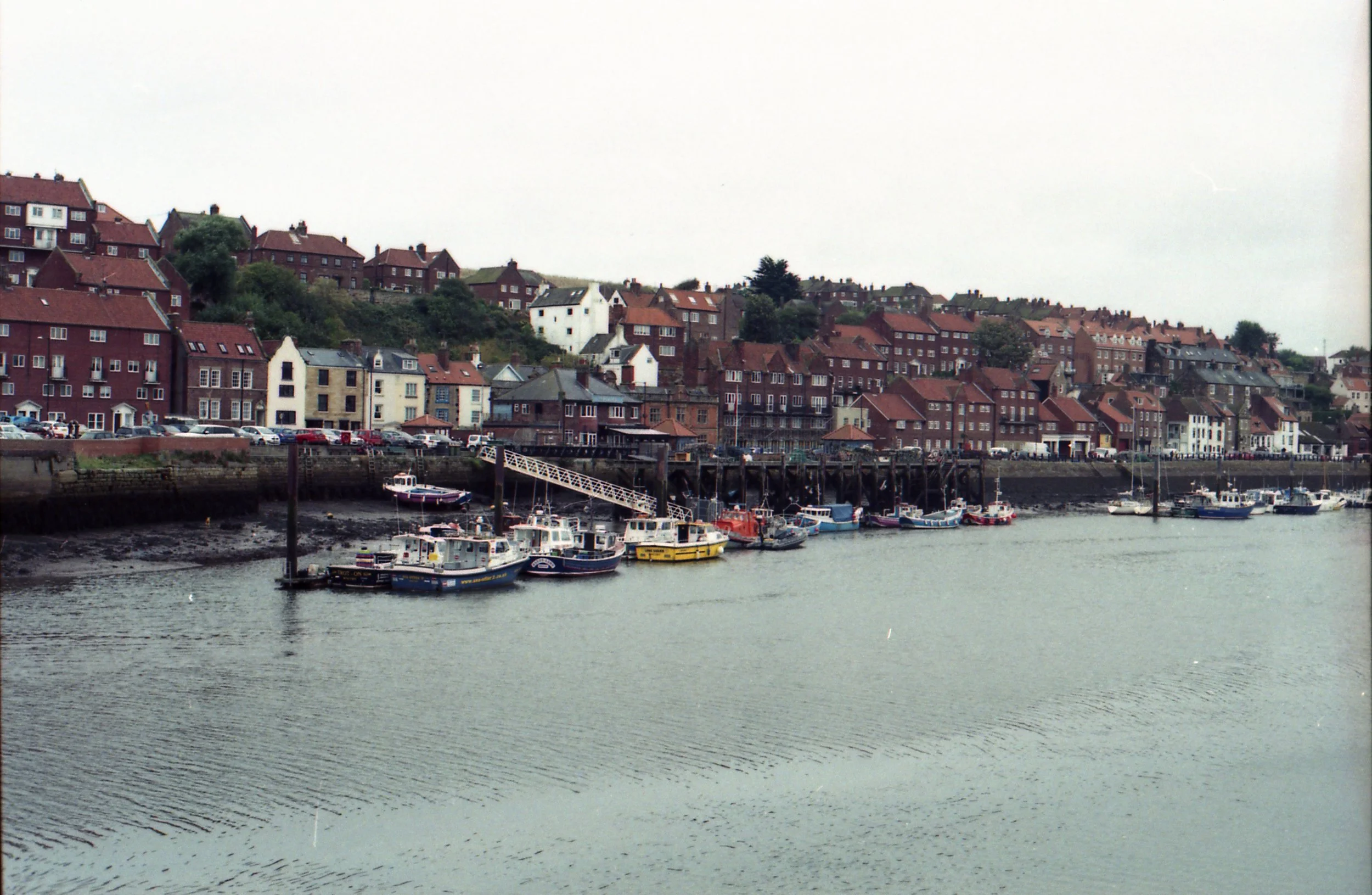 img722.jpg