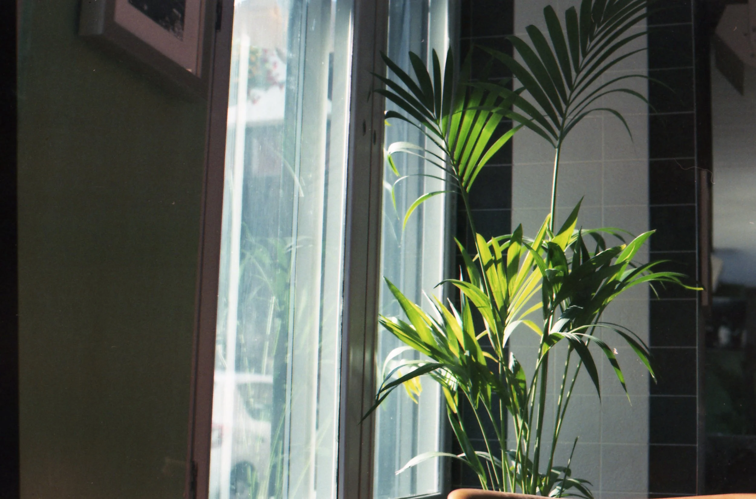A photo that didn't make the project cut as I took more than one photo that day...