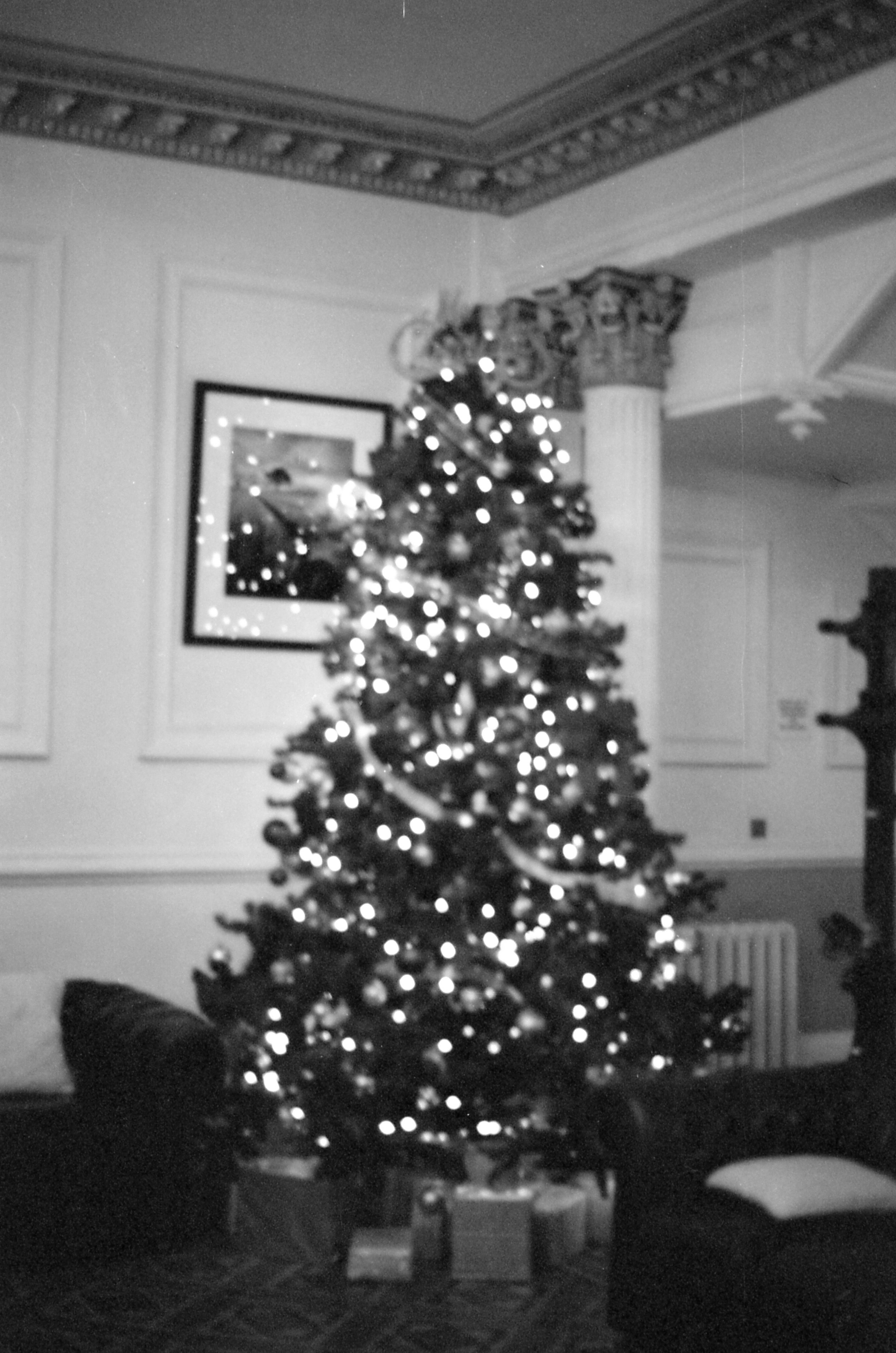 335/366/2016 - 'Its beginning to look a lot like Christmas'... which seems odd to share in January haha