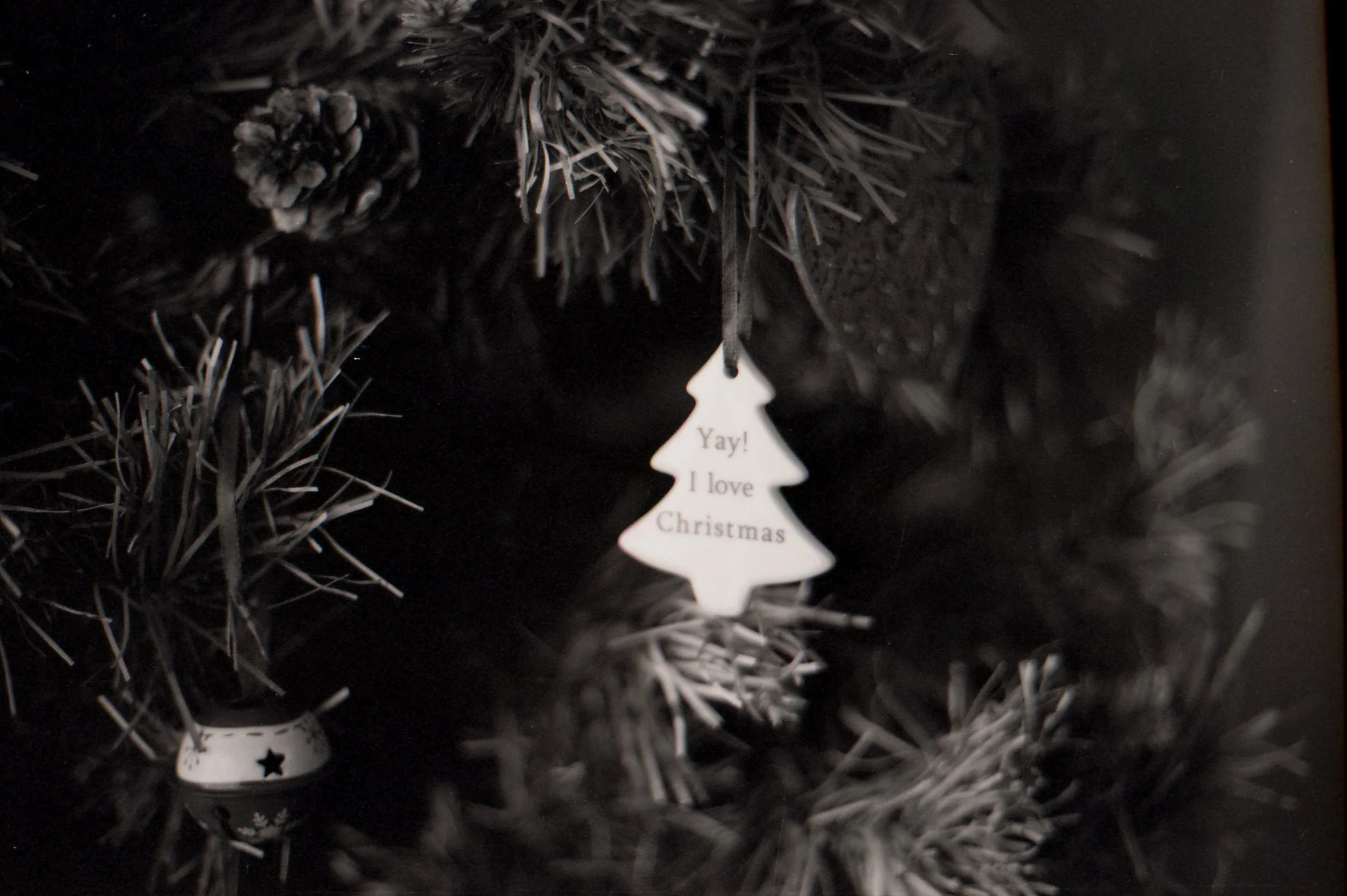 351/366/2016 - Christmas excitement in ornament form!