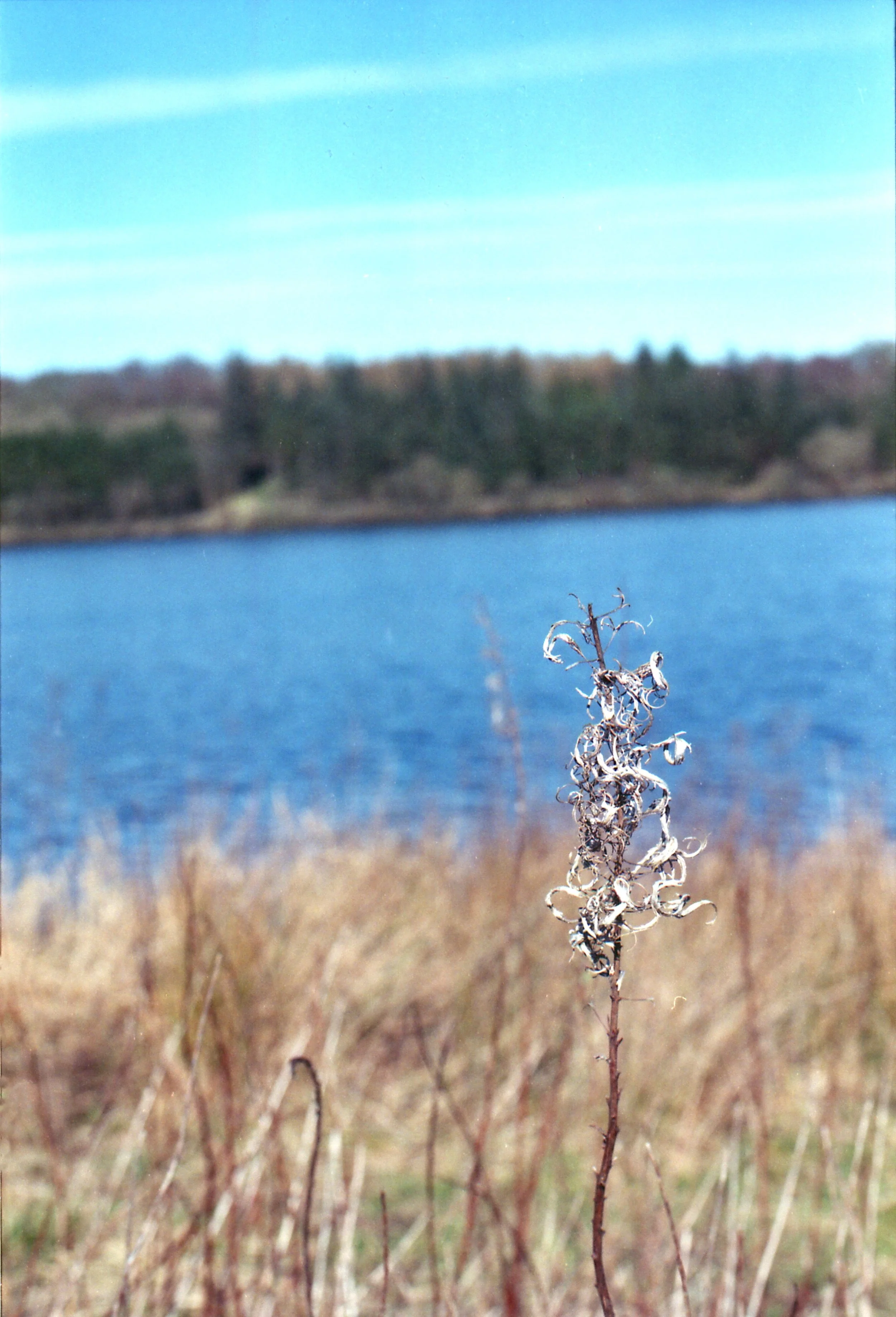 img096.jpg