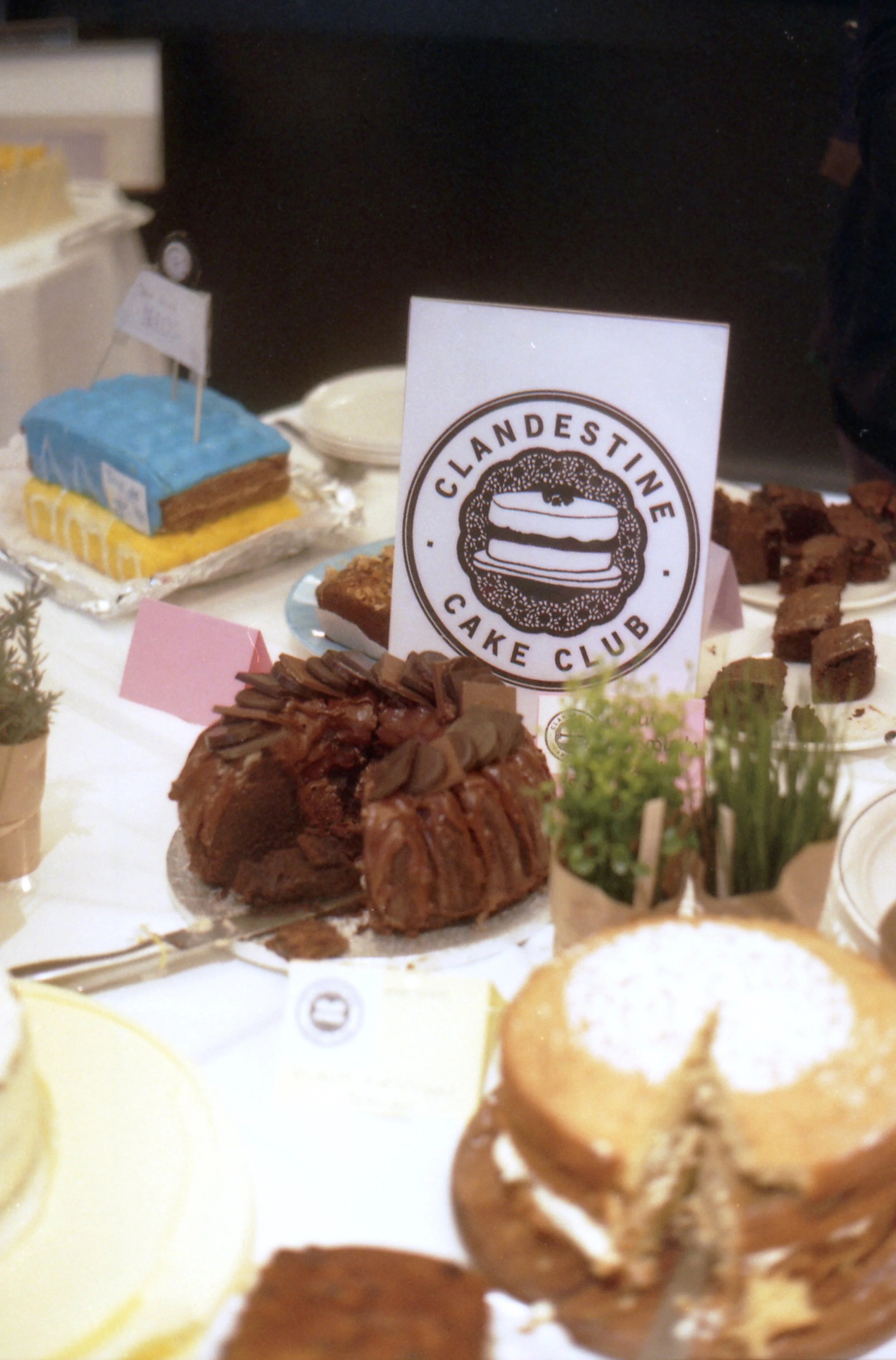 img303.jpg