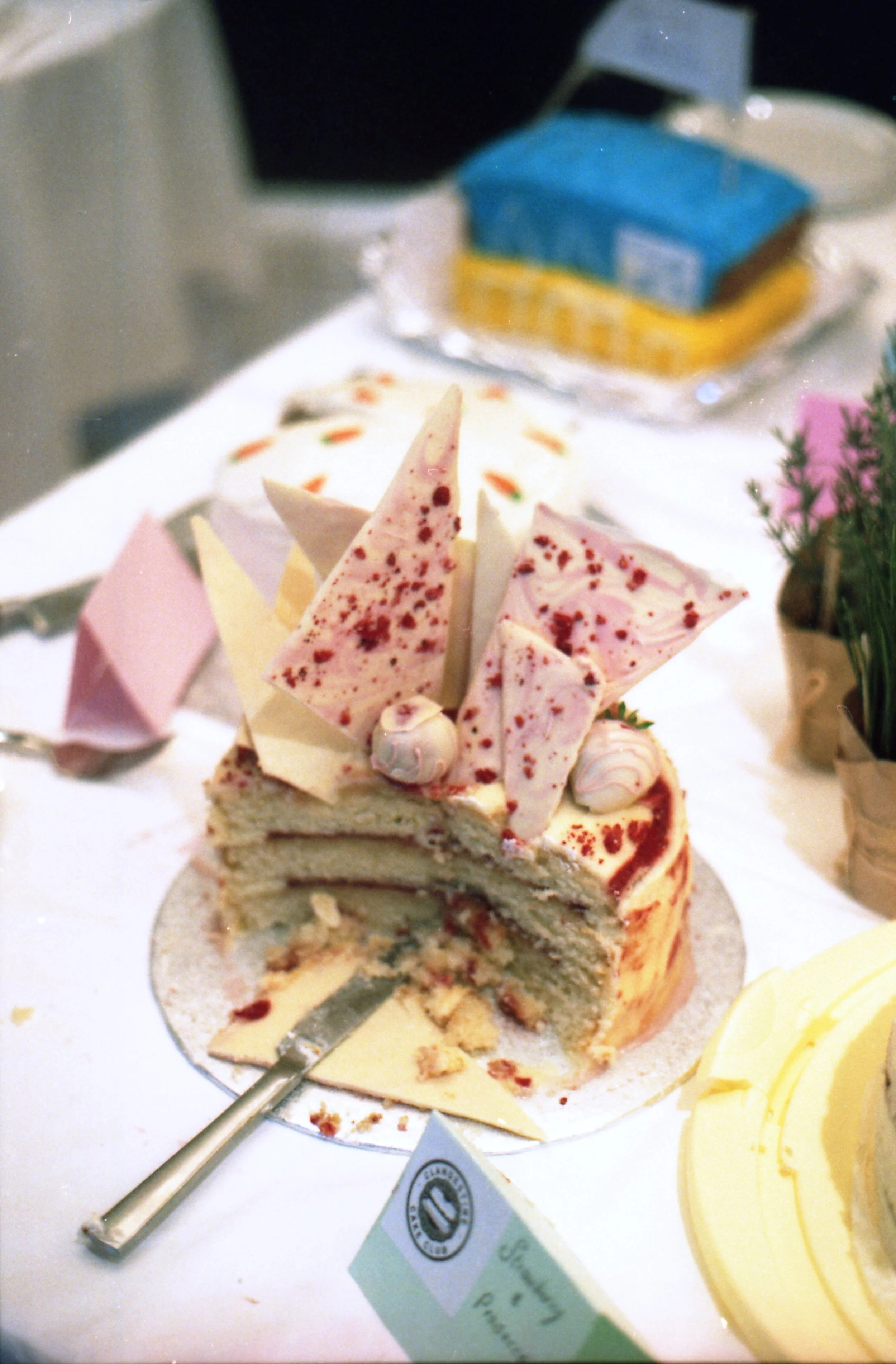 img304a.jpg