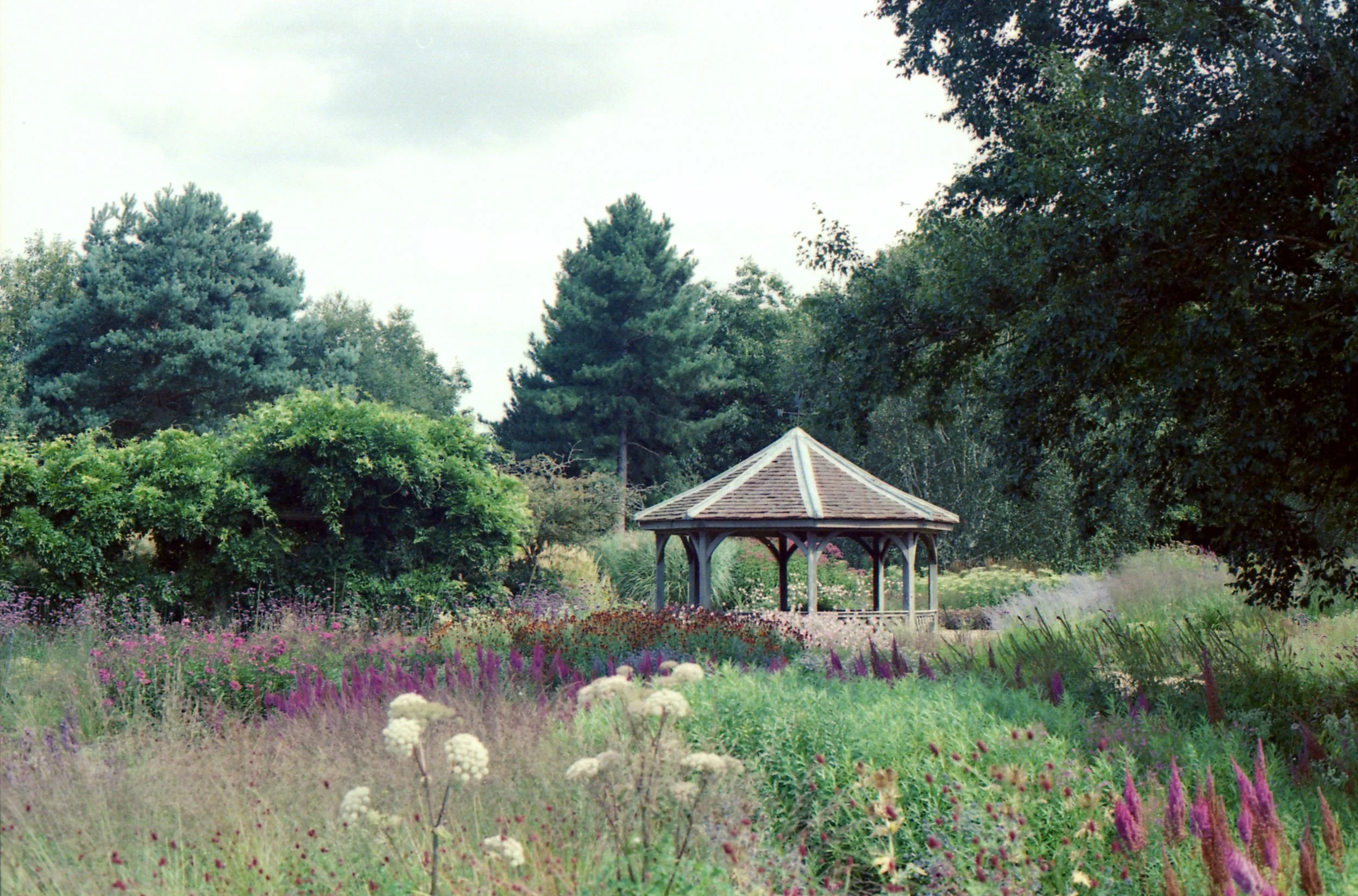 img276.jpg
