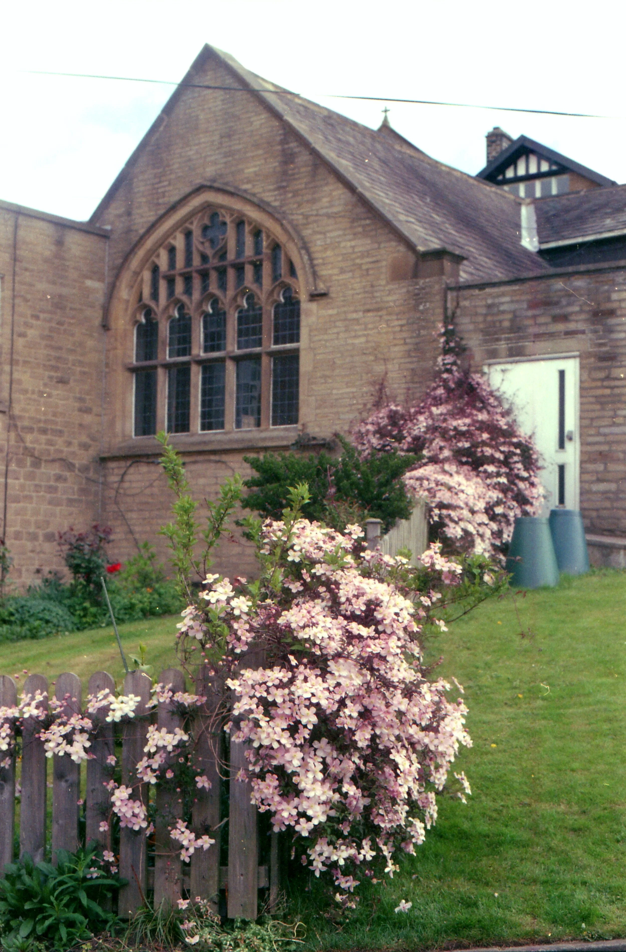 img229a.jpg