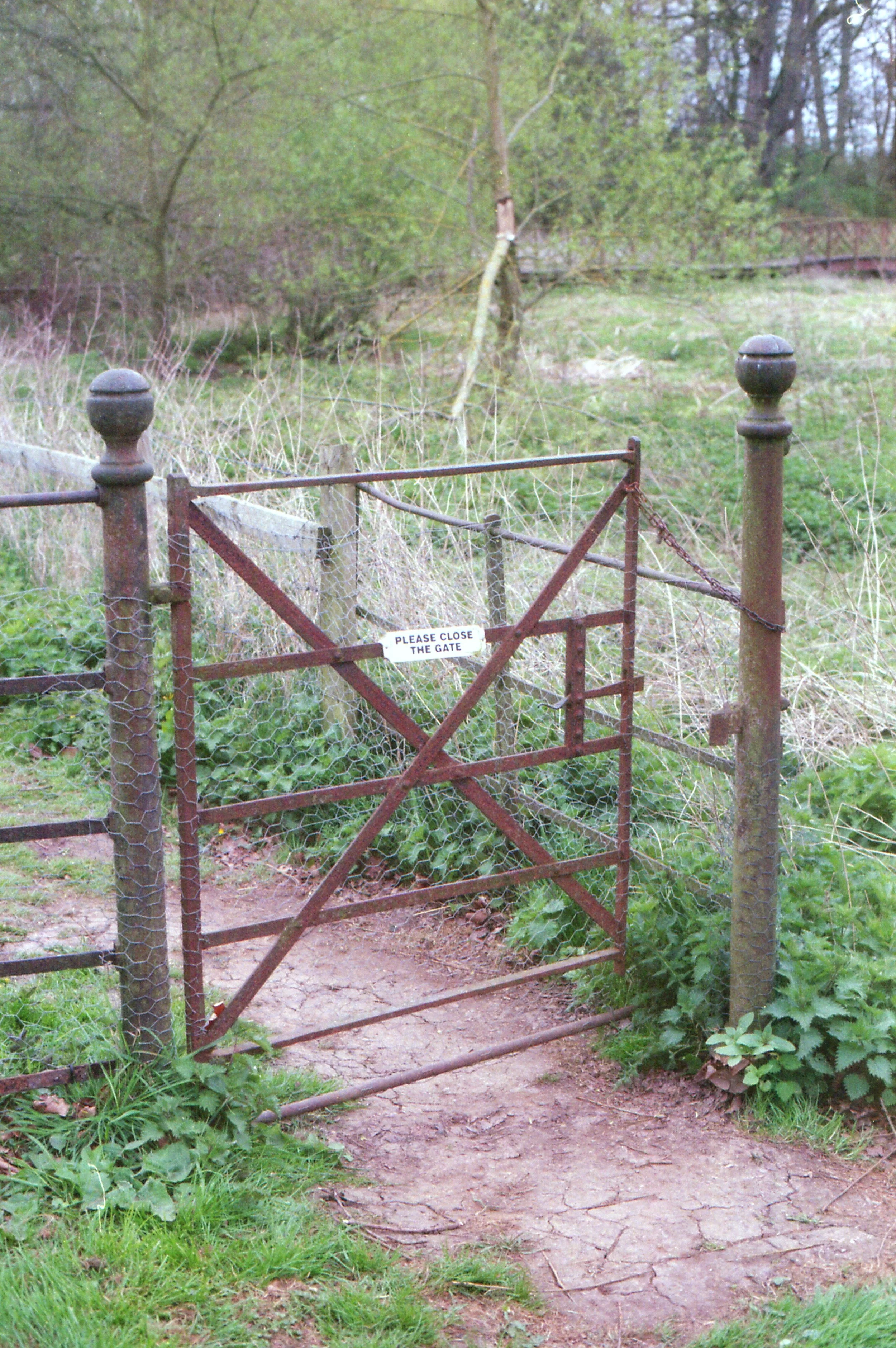 img209a.jpg