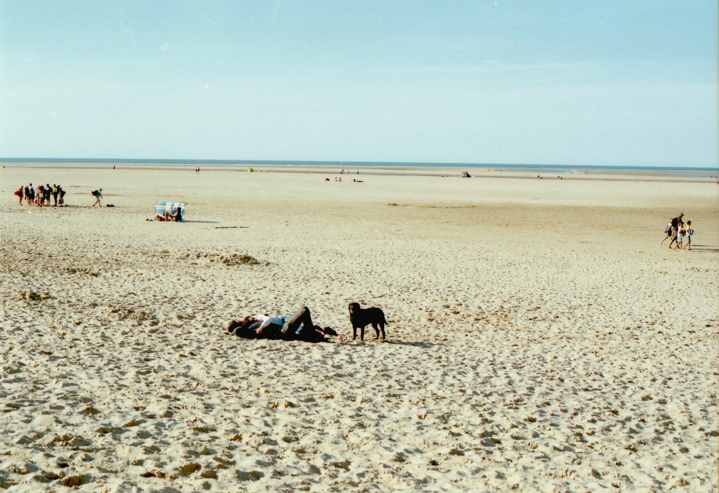 img236b.jpg