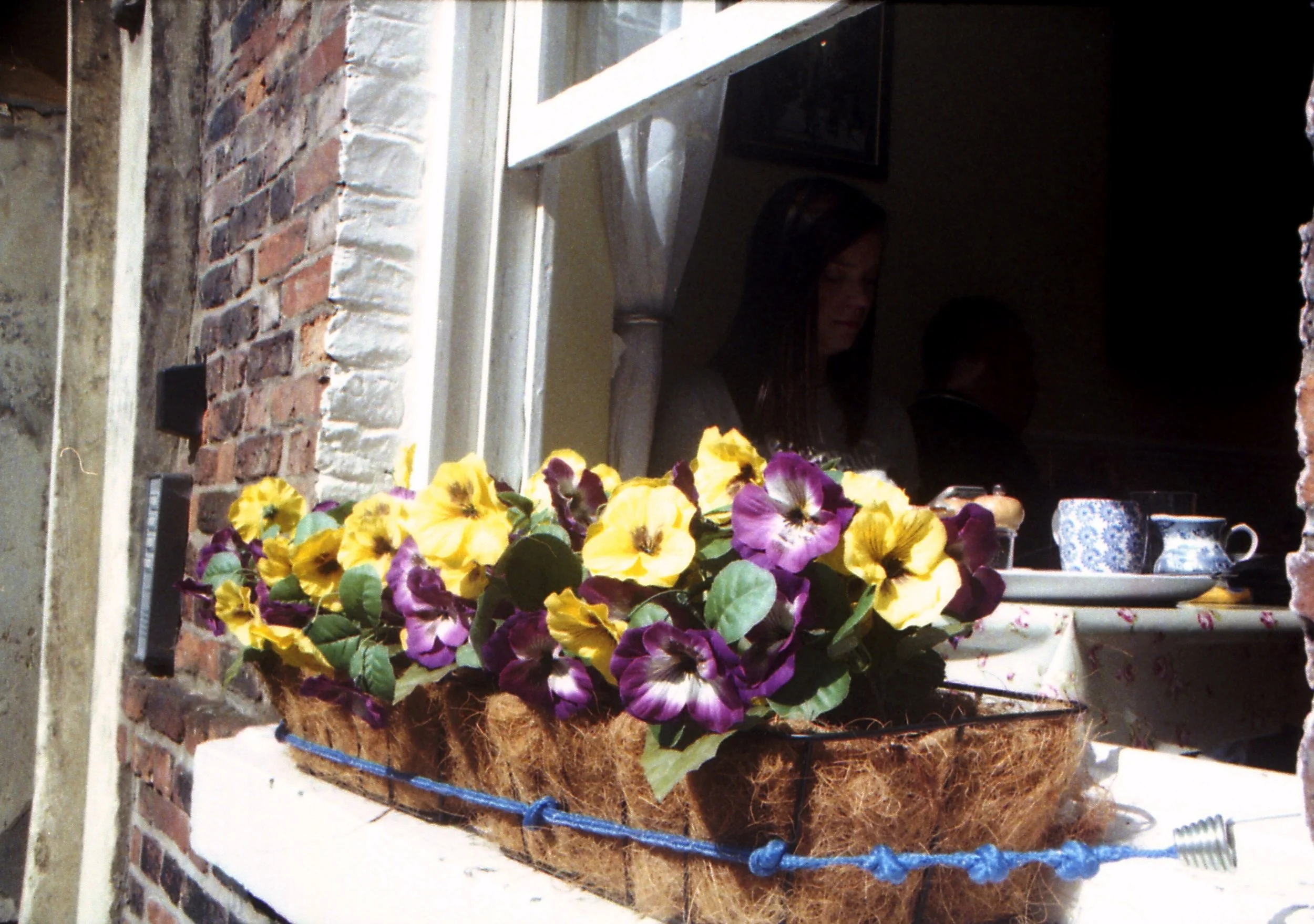 img566b.jpg