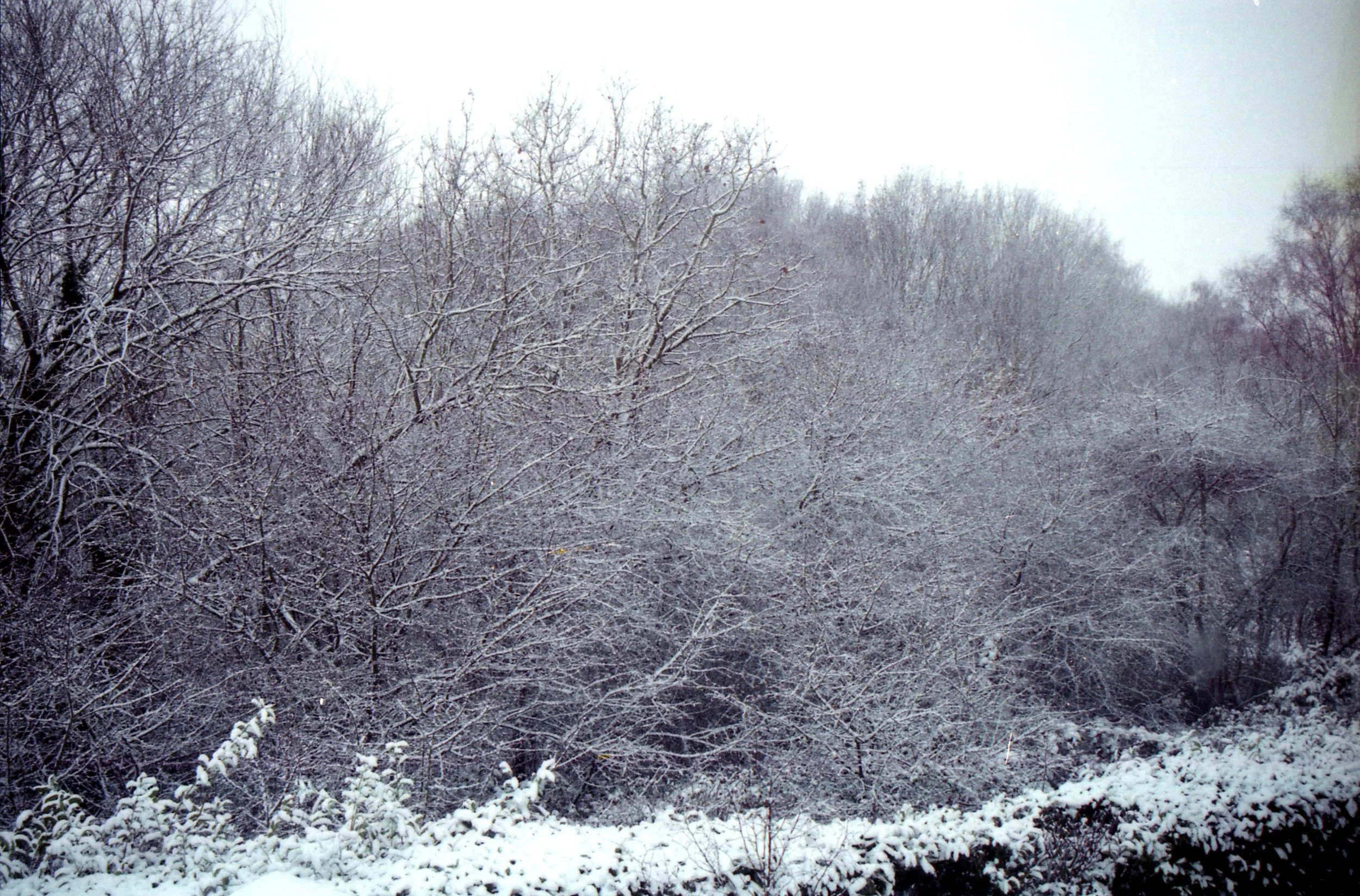 Scan045b.jpg