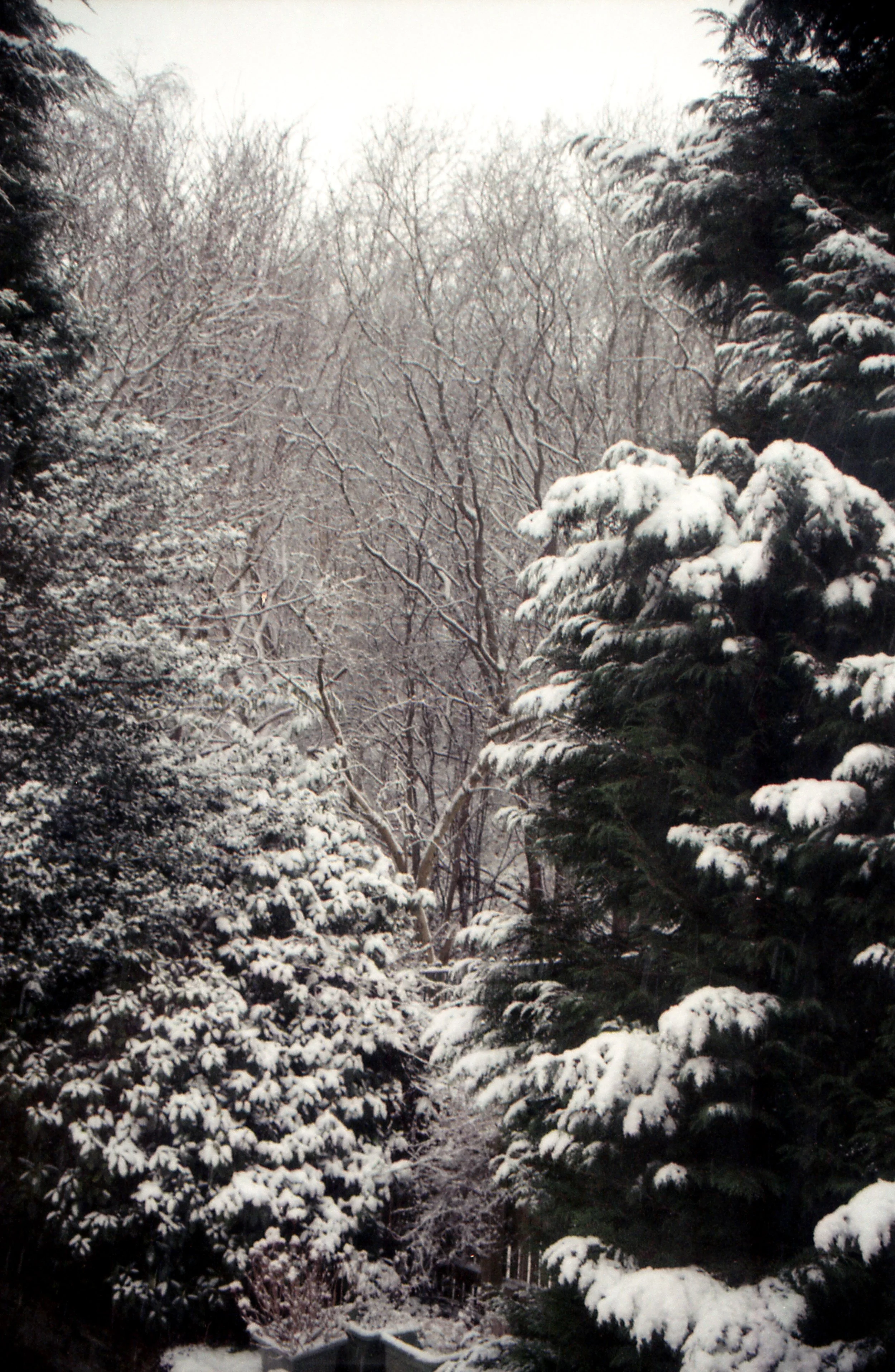 Scan051a.jpg