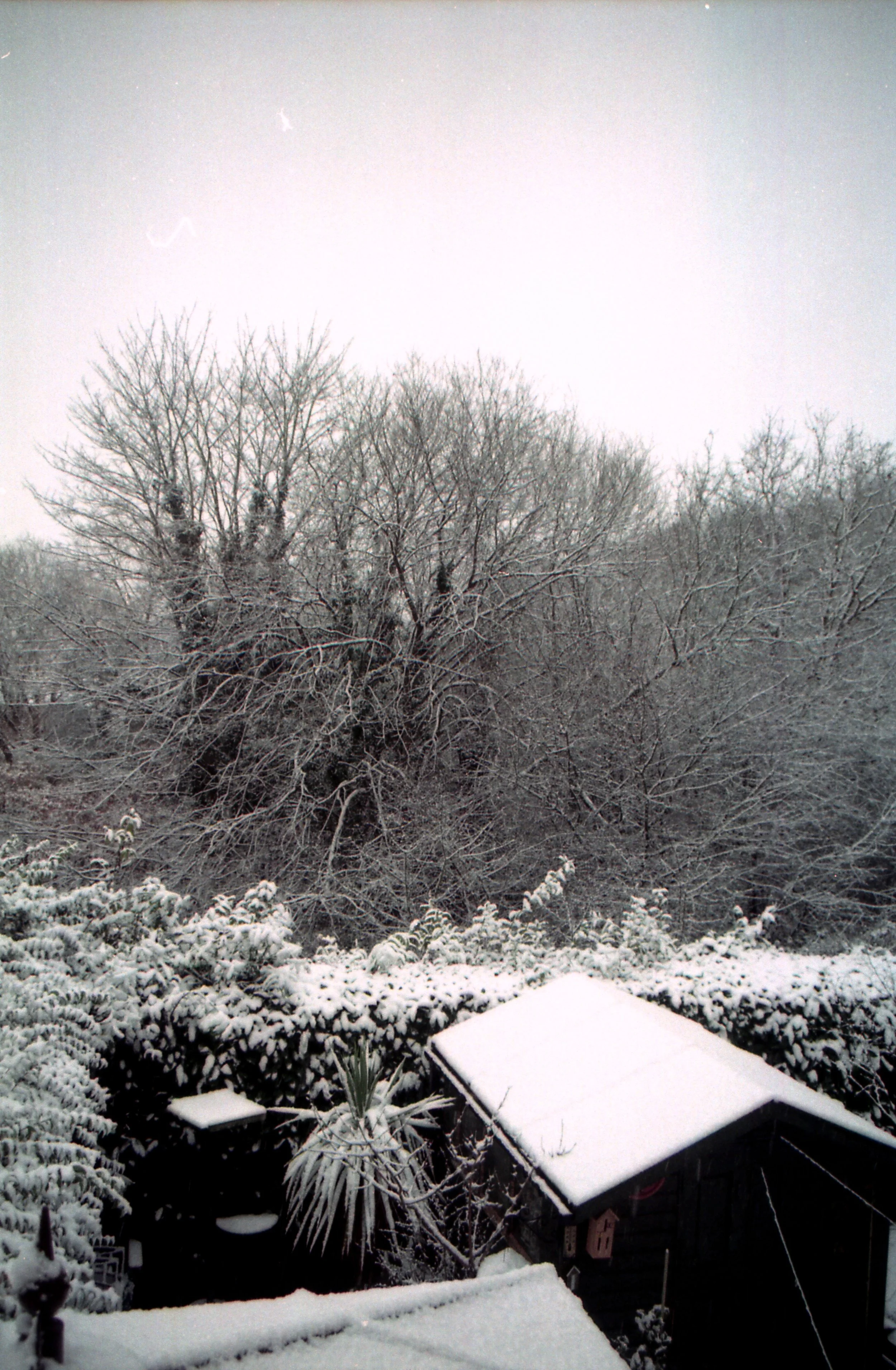 Scan033a.jpg