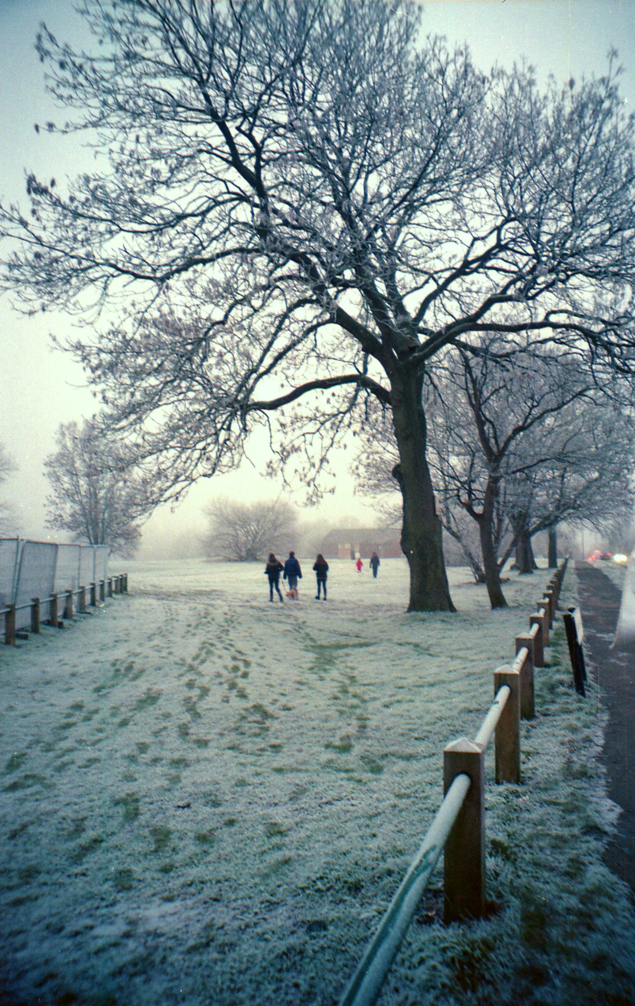 img047a.jpg