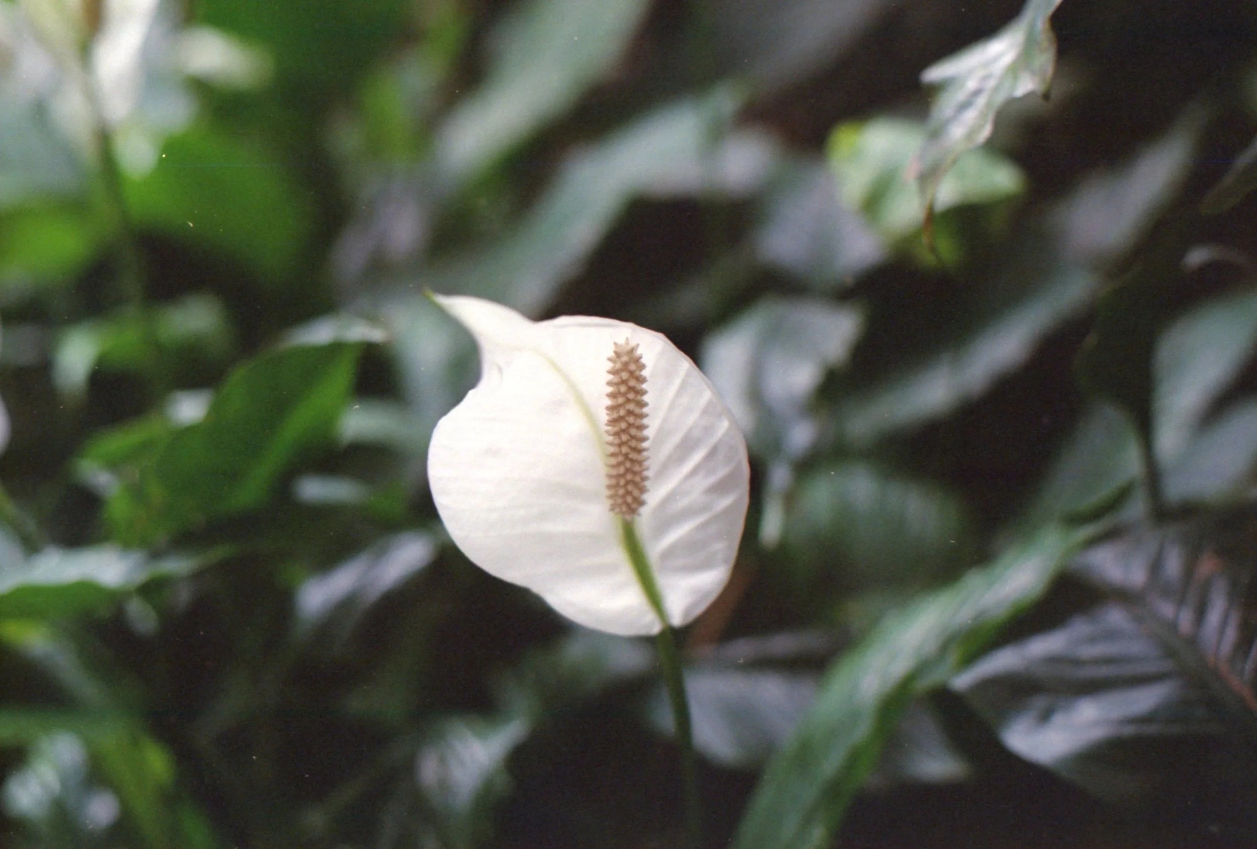 img010.jpg