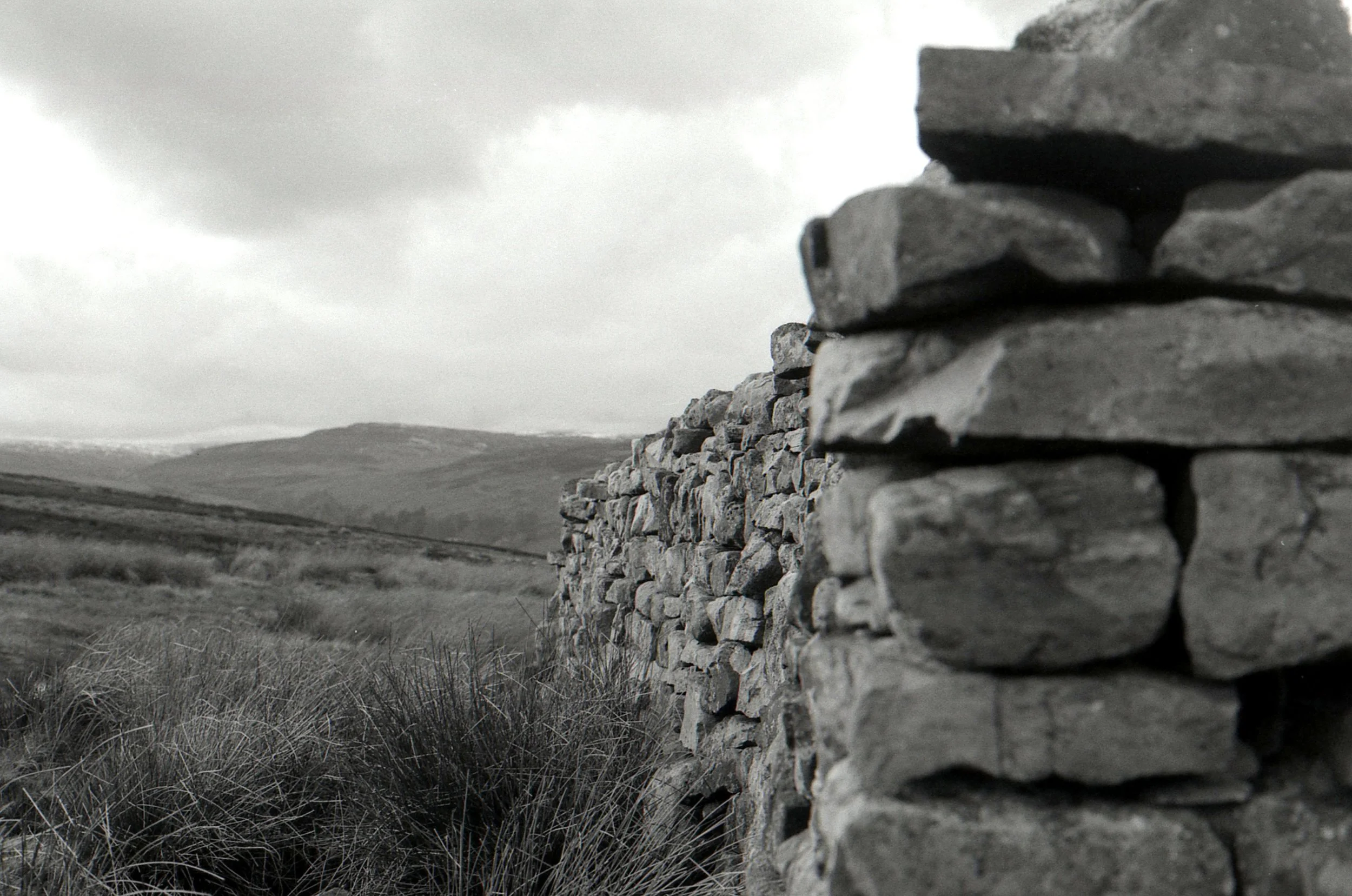 img135.jpg