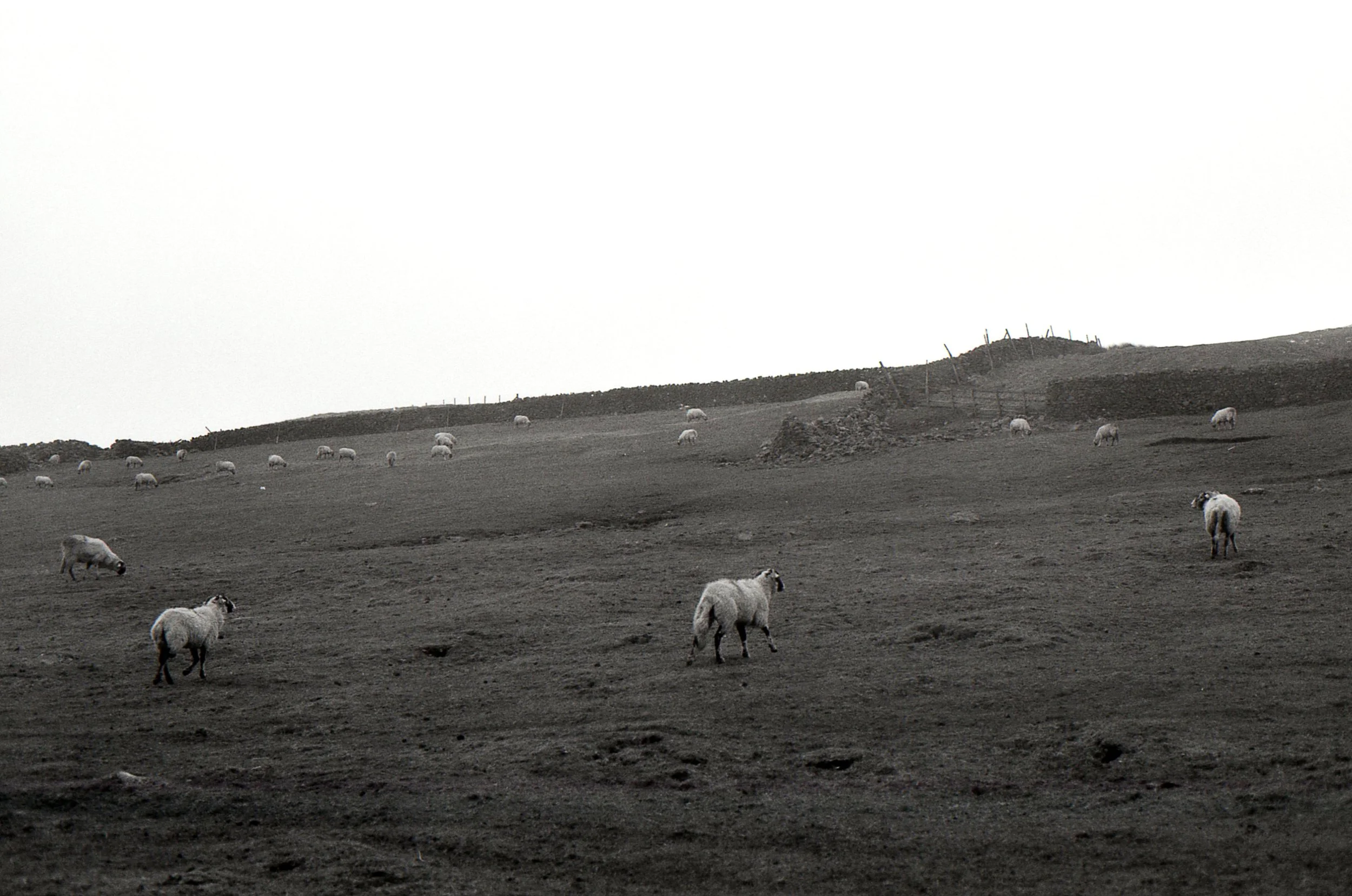 img144.jpg