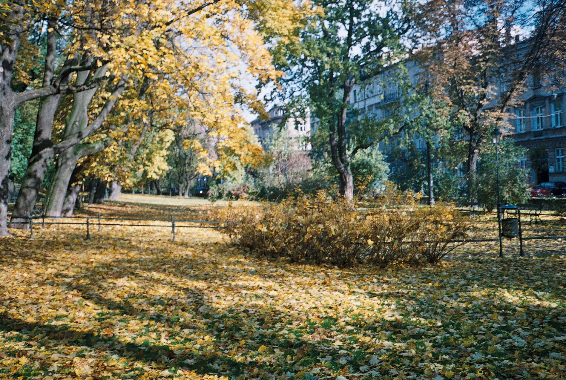 8a.jpg