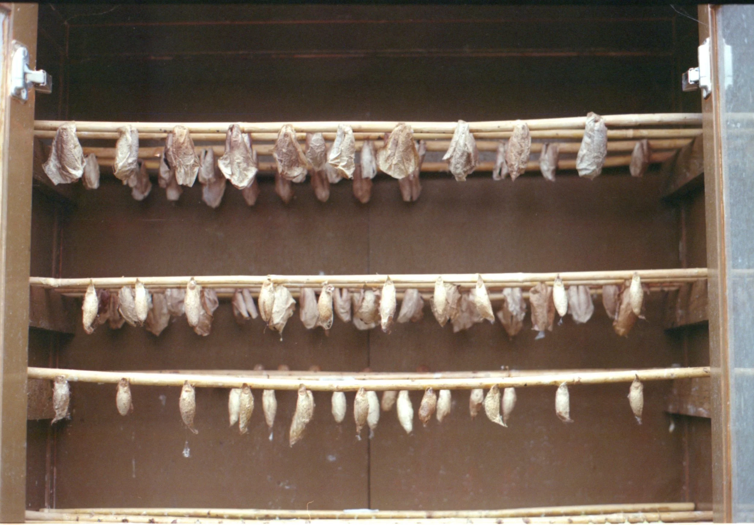 img017.jpg