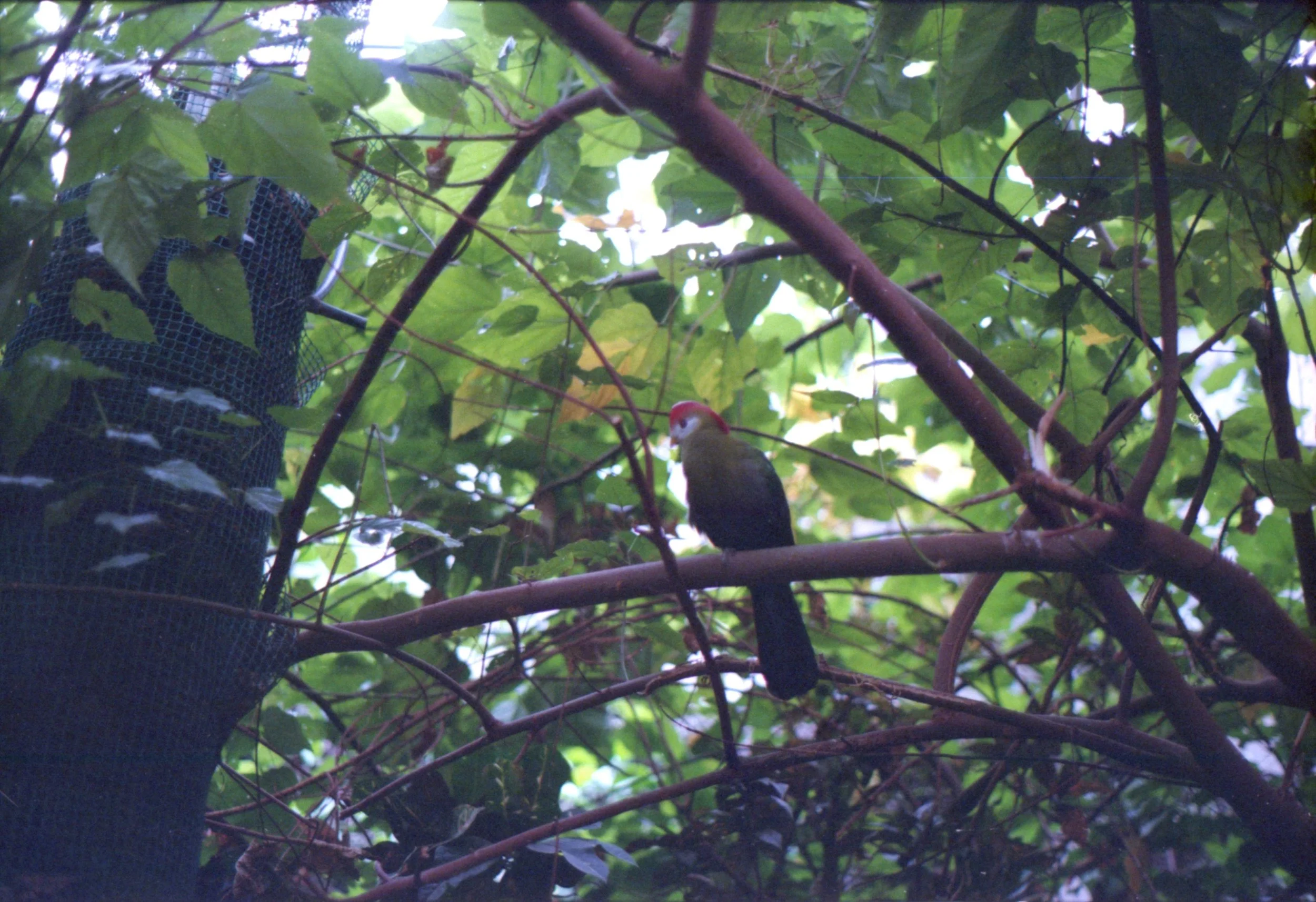 img005.jpg