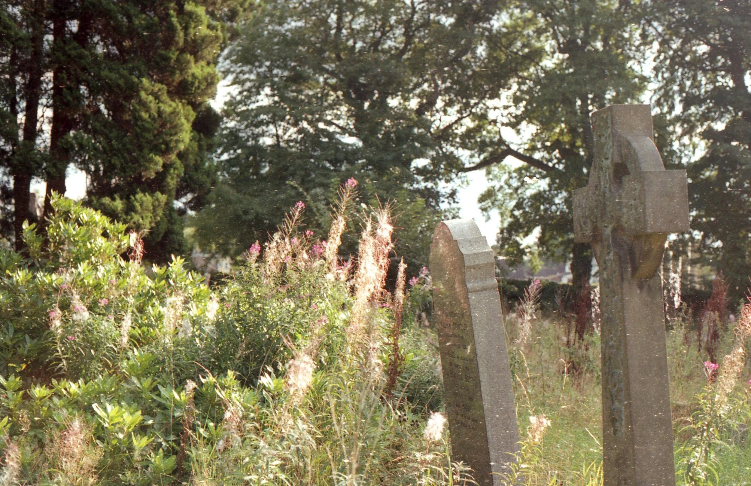 img156.jpg