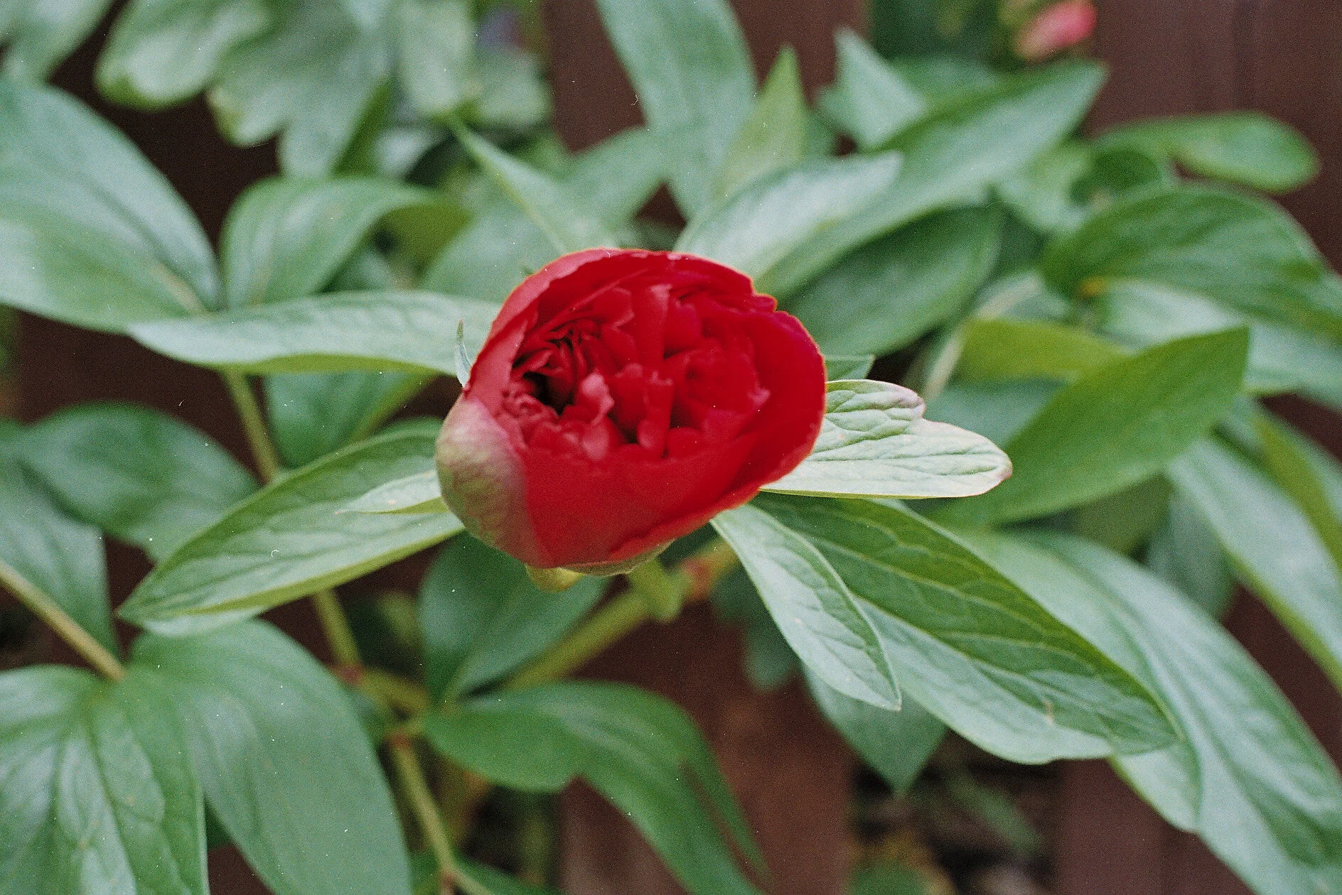 8966115681_be1839684c_o.jpg
